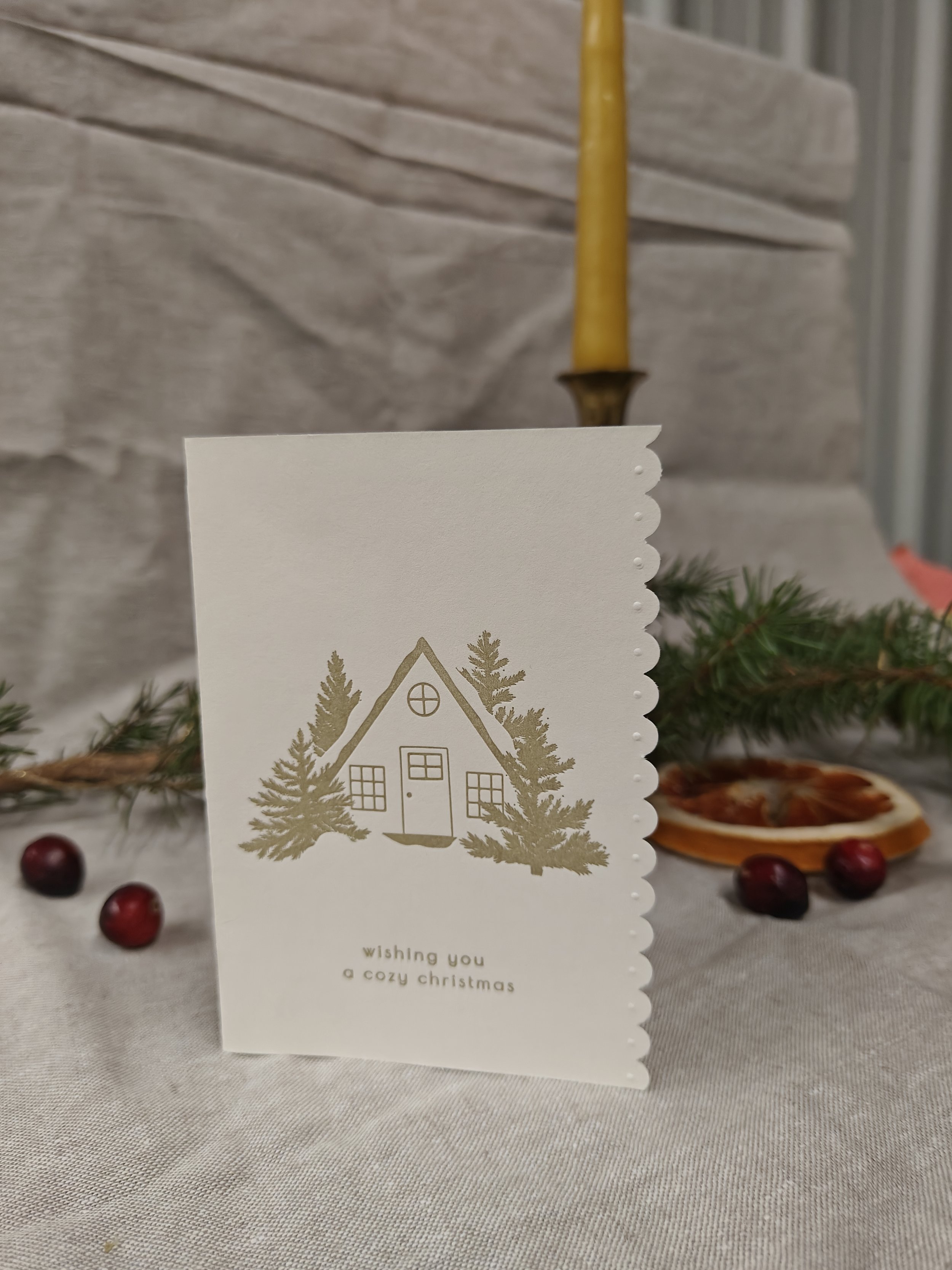 Wishing you a cozy Christmas
