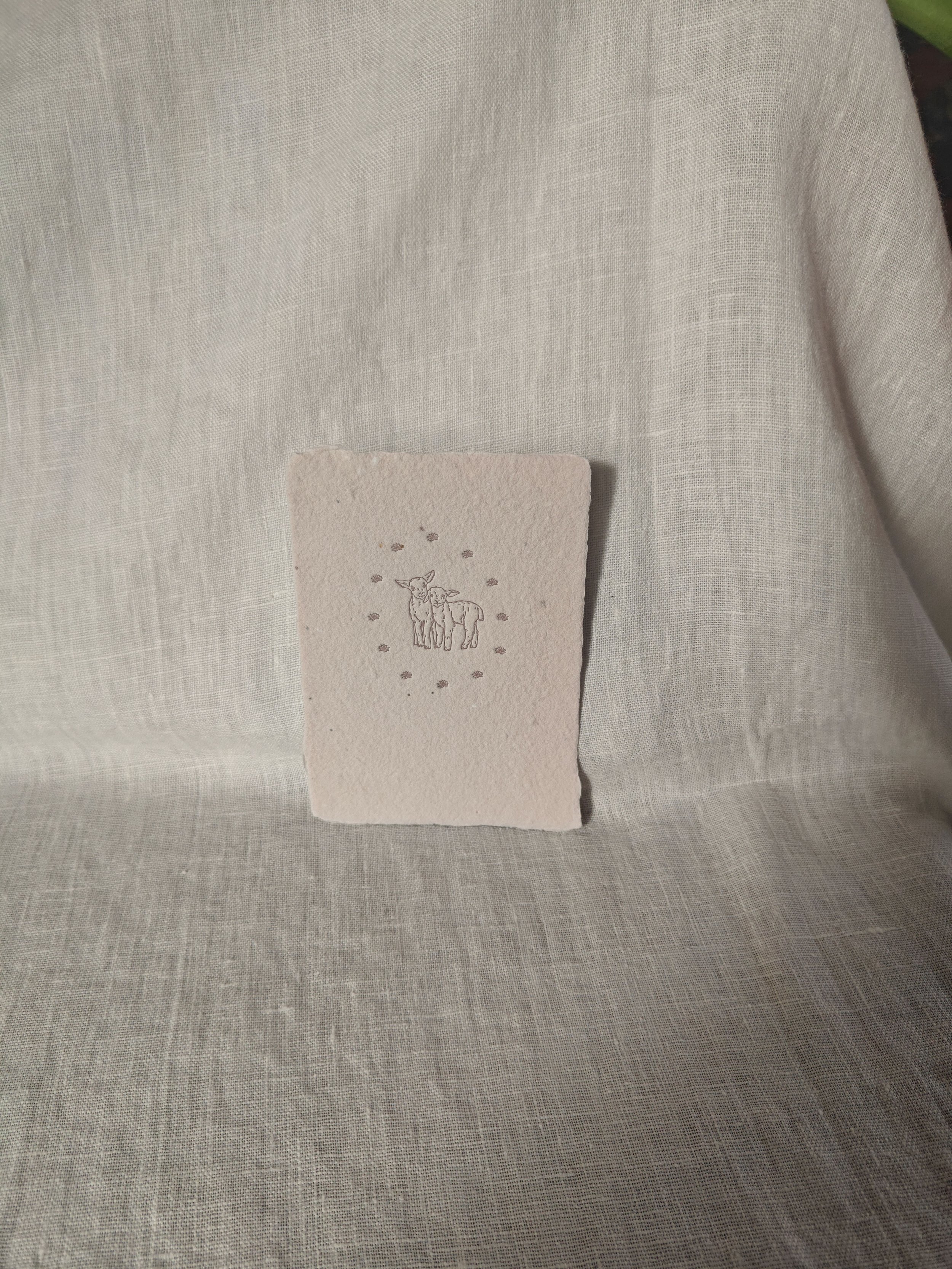 lambs oval flowers.jpg