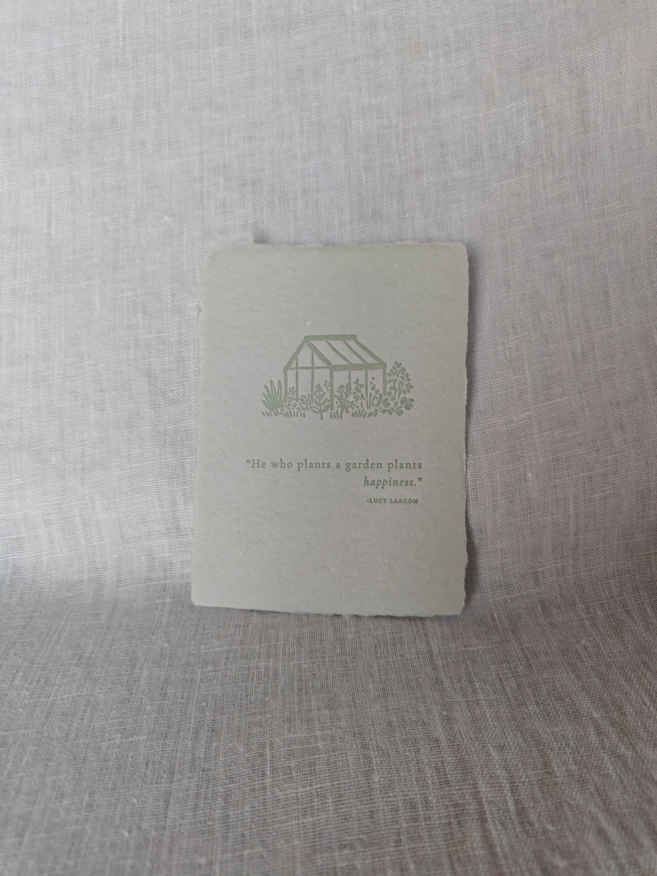 garden far away .jpg