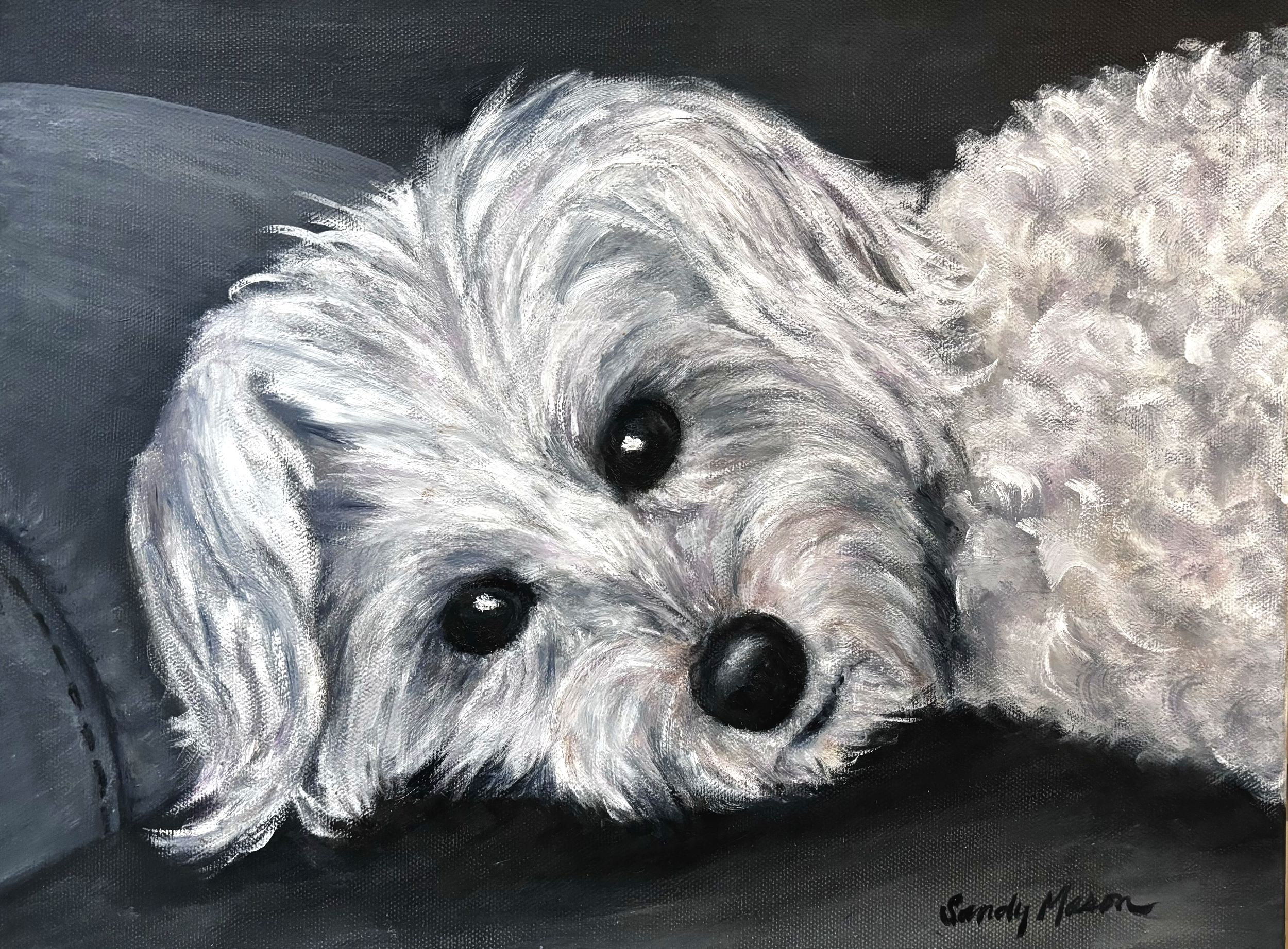 "Lazy Daisy", Original Oil Painting 11" x 14" 
(Not for Sale)