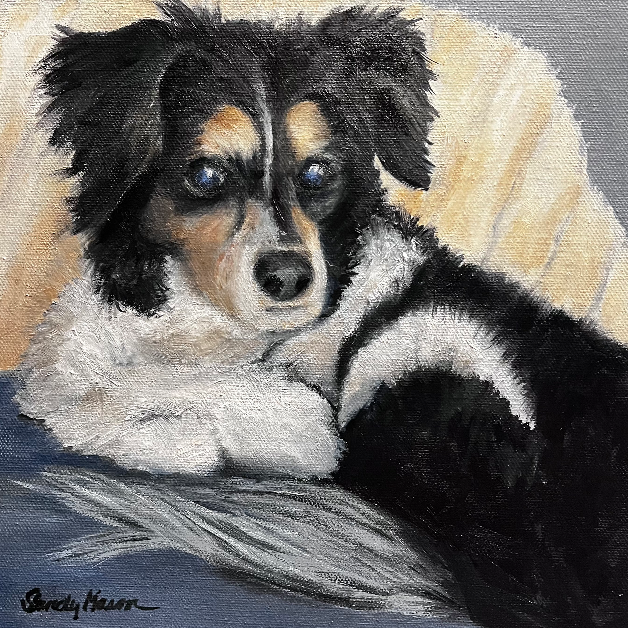"Gracie", Original Oil Painting 11" x 14" 
(Sold)