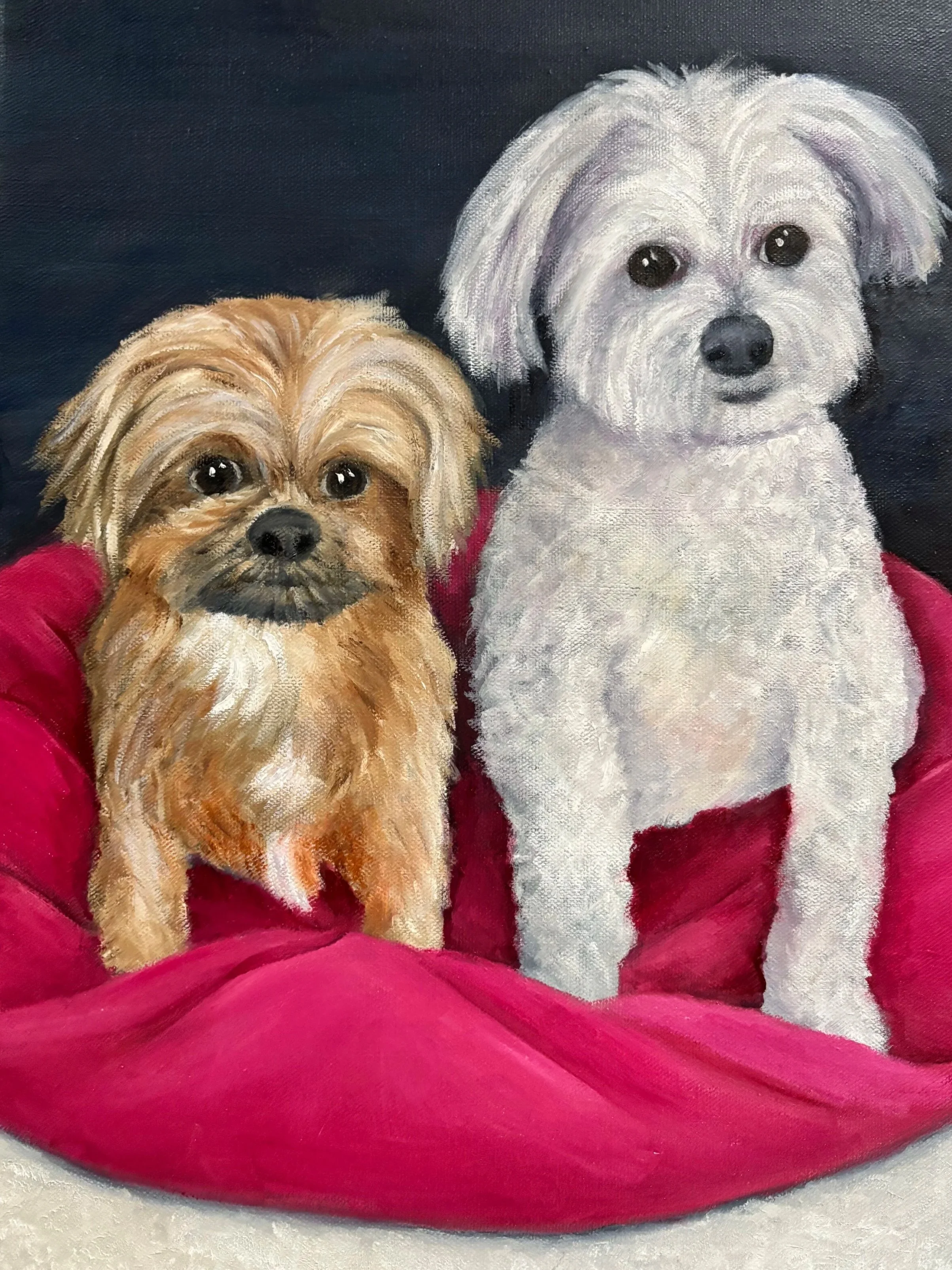 "Sitting Pretty", Original Oil Painting 12" x 16"    (Sold)
