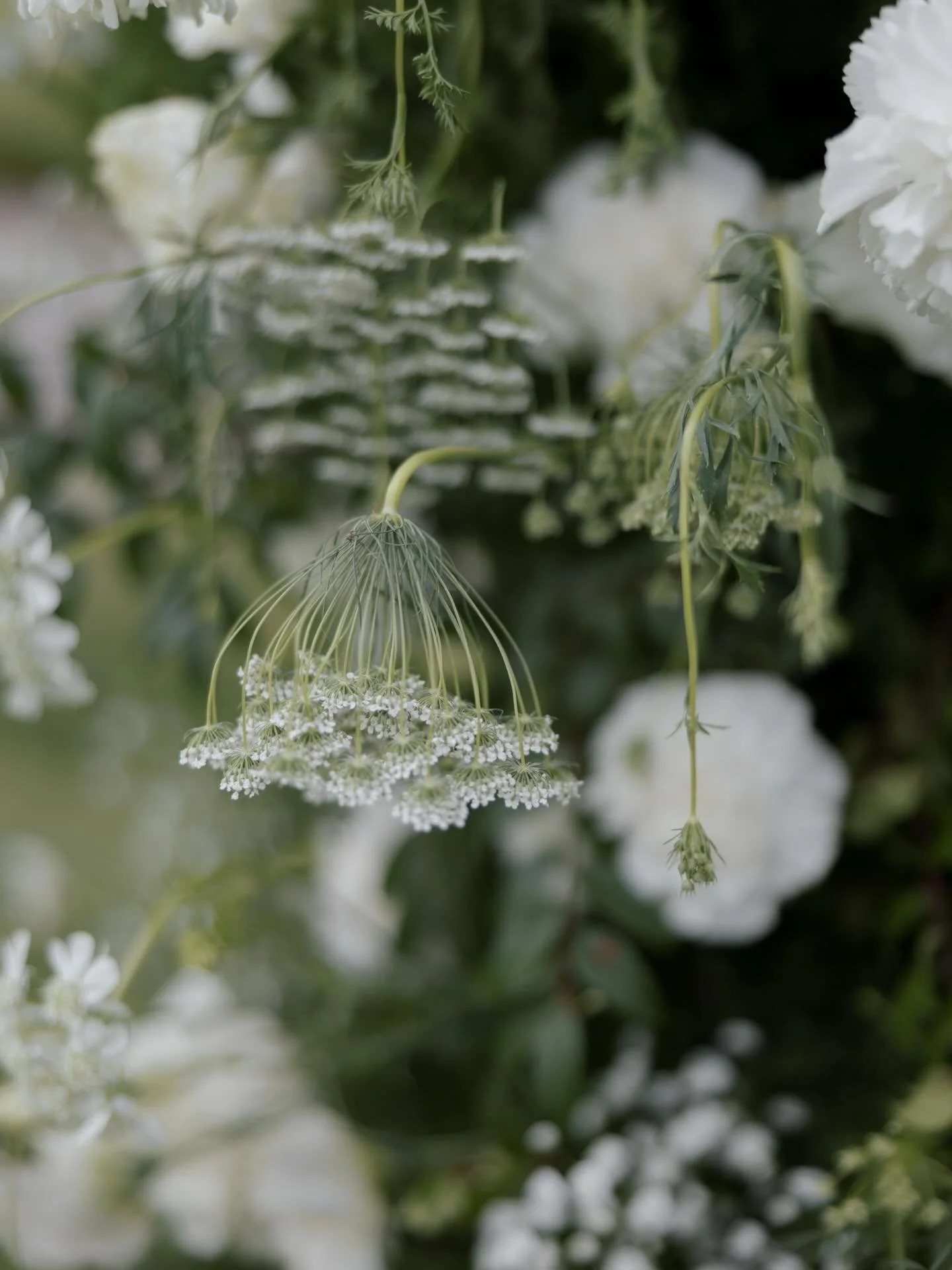 A beautiful spring wedding in Orange County 

Planning @loujunedesigns 
Venue @marbellaccevents 
HAMU @lisachamberlainbeauty 
Florals @wild_and_behold_florals