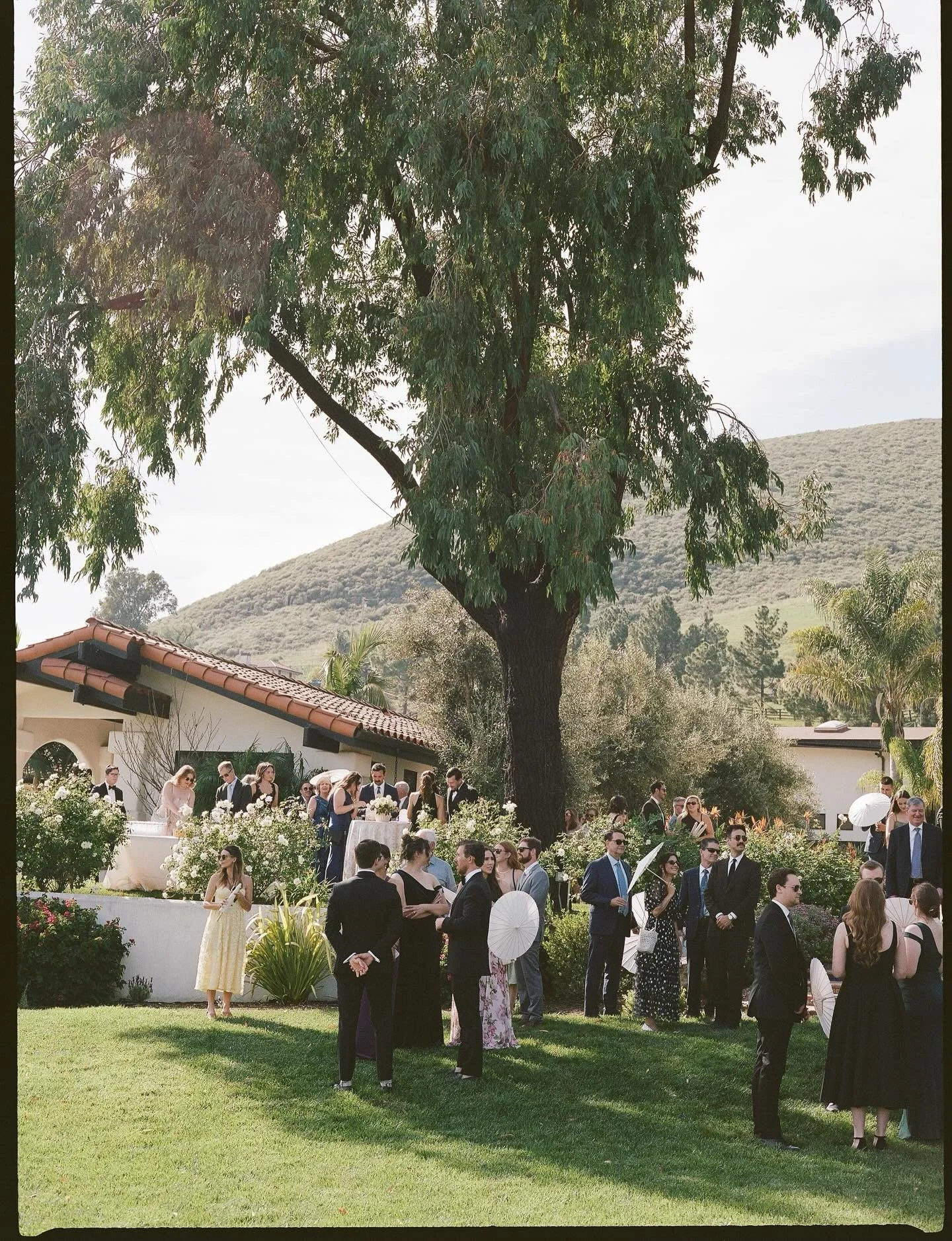 Film scans arriving on a Friday is almost as equivalent to Christmas Day 🎞️ planning @embarkeventdesign