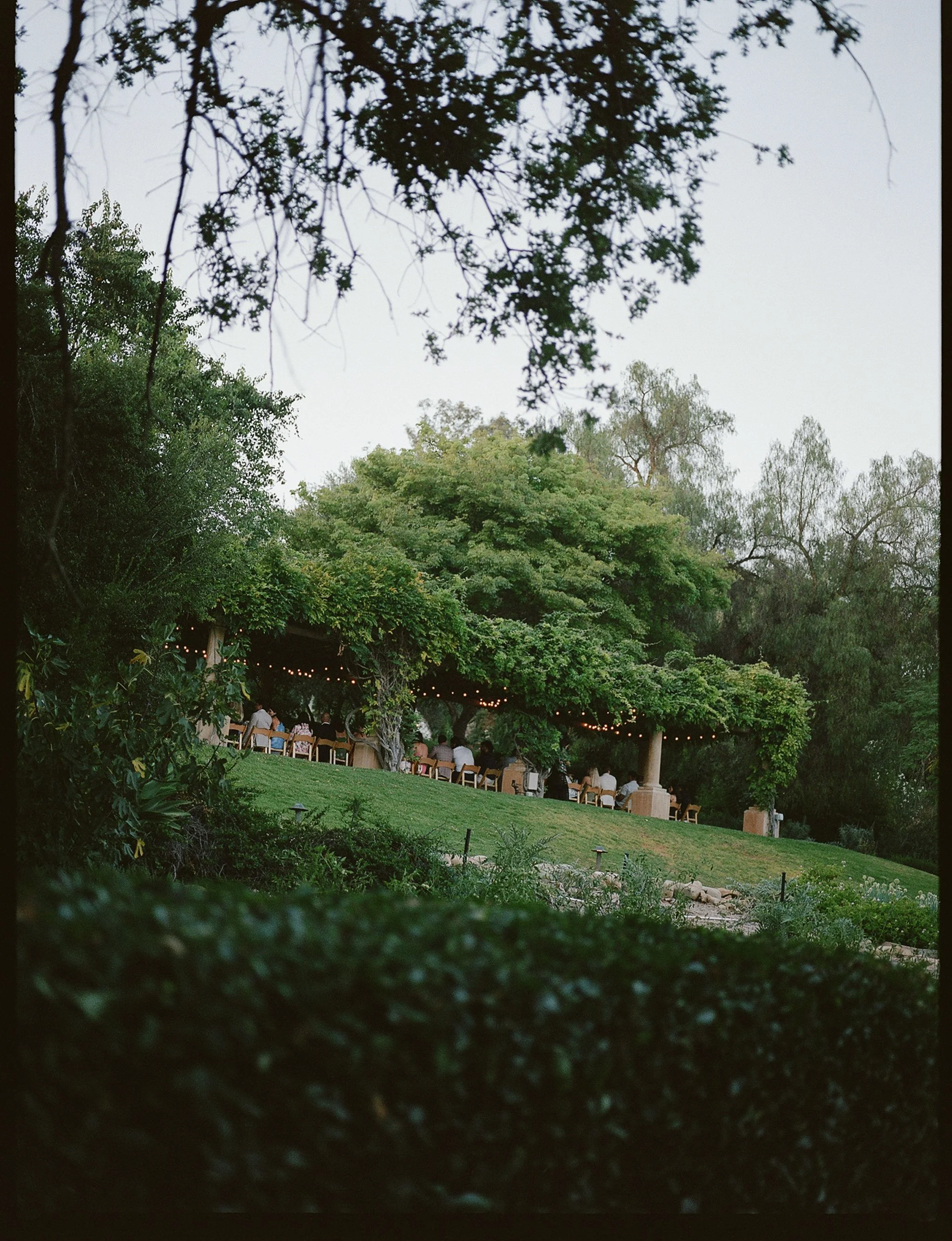Nicole Donnelly Photogpraphy_A&Z_Film-12.jpg
