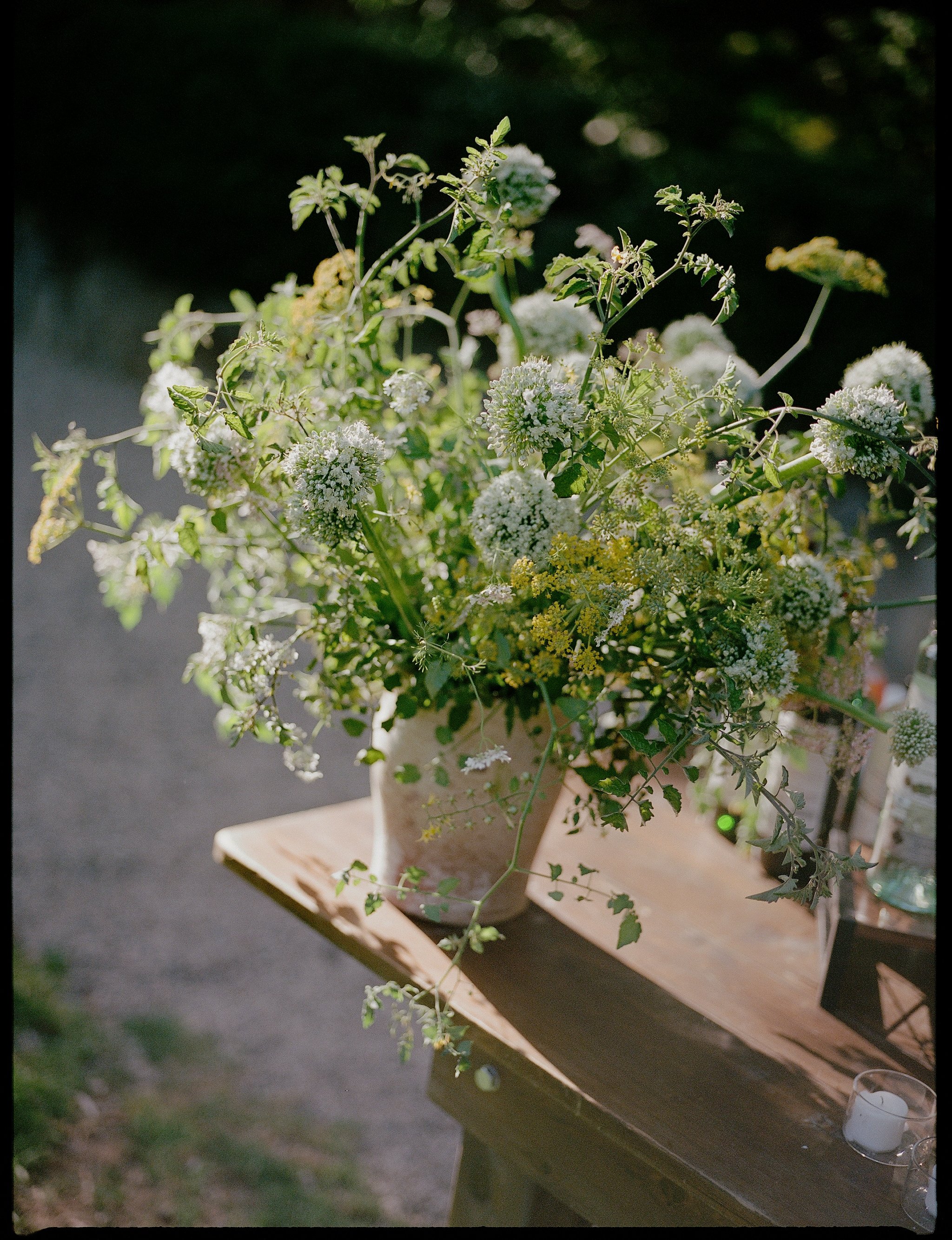Nicole Donnelly Photogpraphy_A&Z_Film-1.jpg