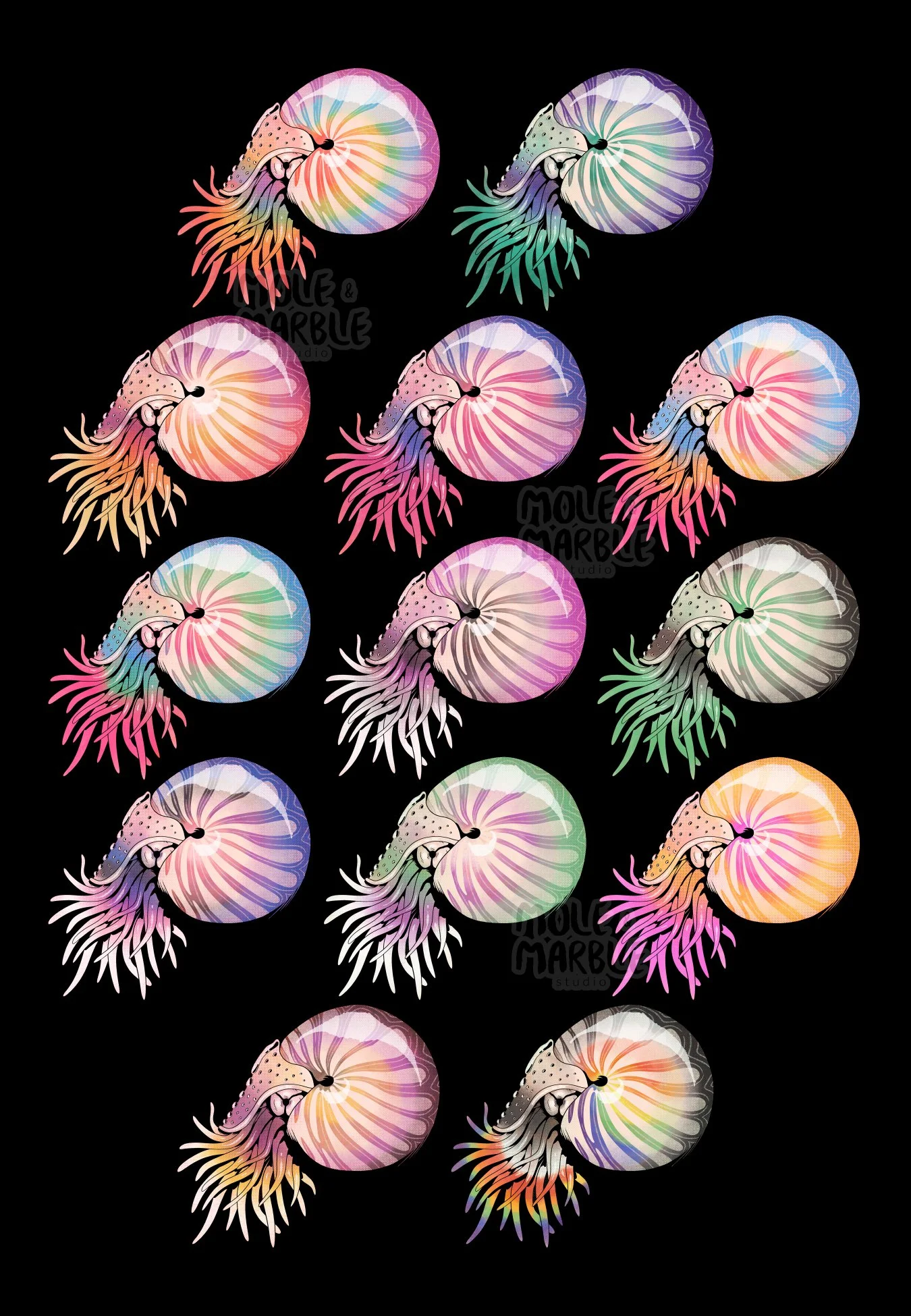 Nautilus Pride (April 2026) by Mole & Marble Studio