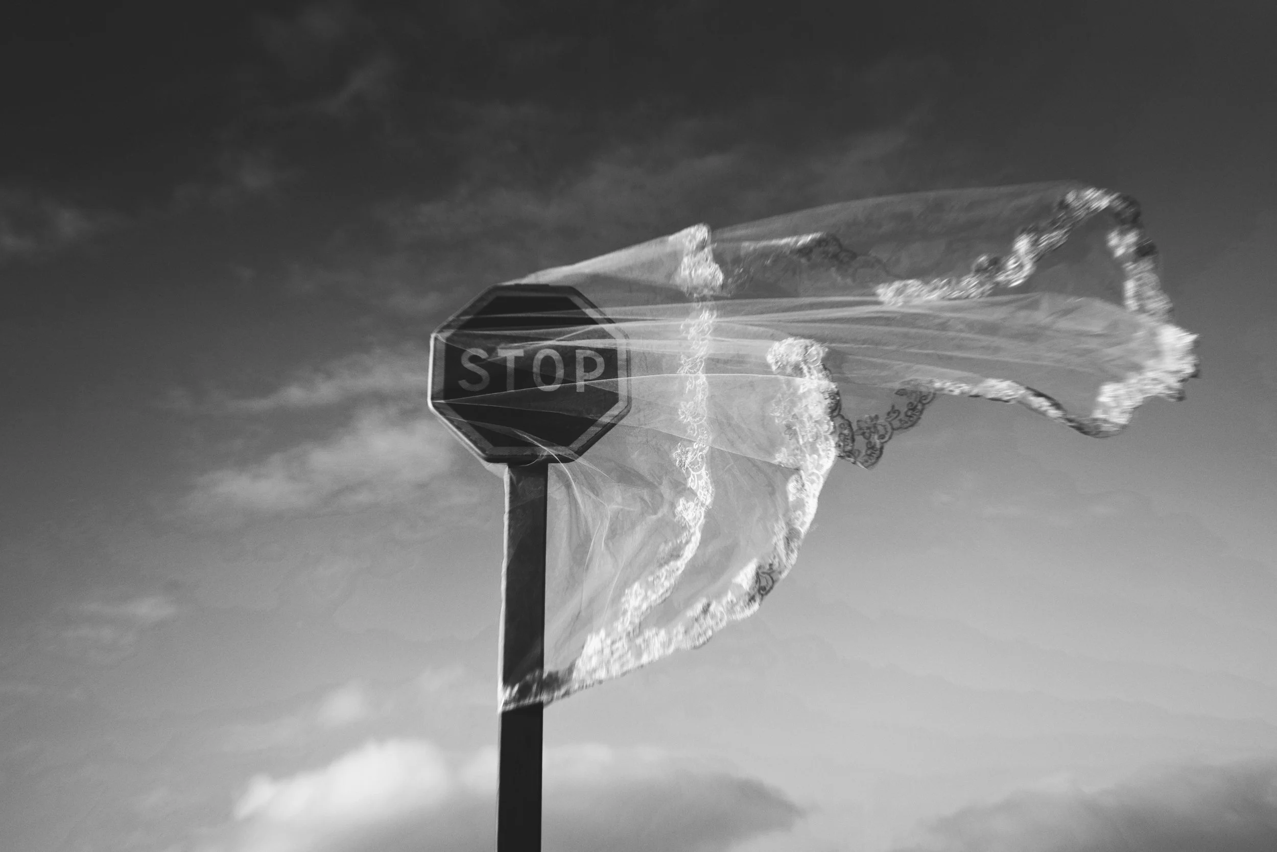 La Désillusion_2023.jpg