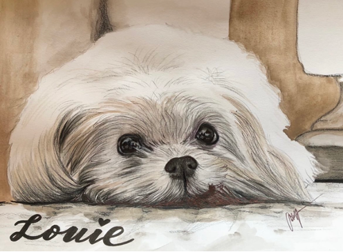fullcolorpetportrait5.png