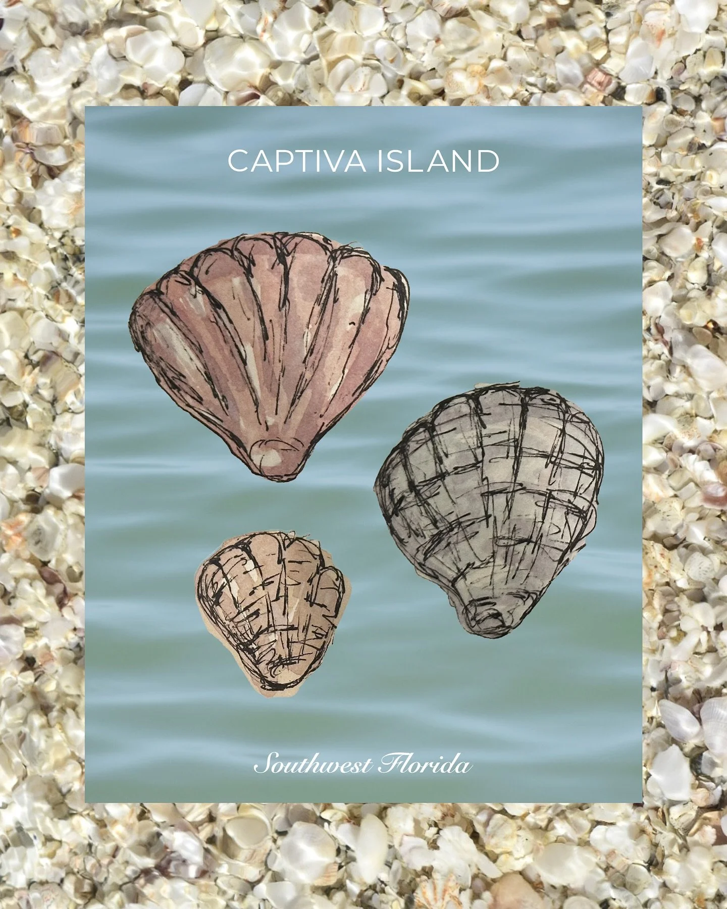 shells of captiva 🐚

.

#drawing #photography #mixedmedia #graphicdesign #artist
