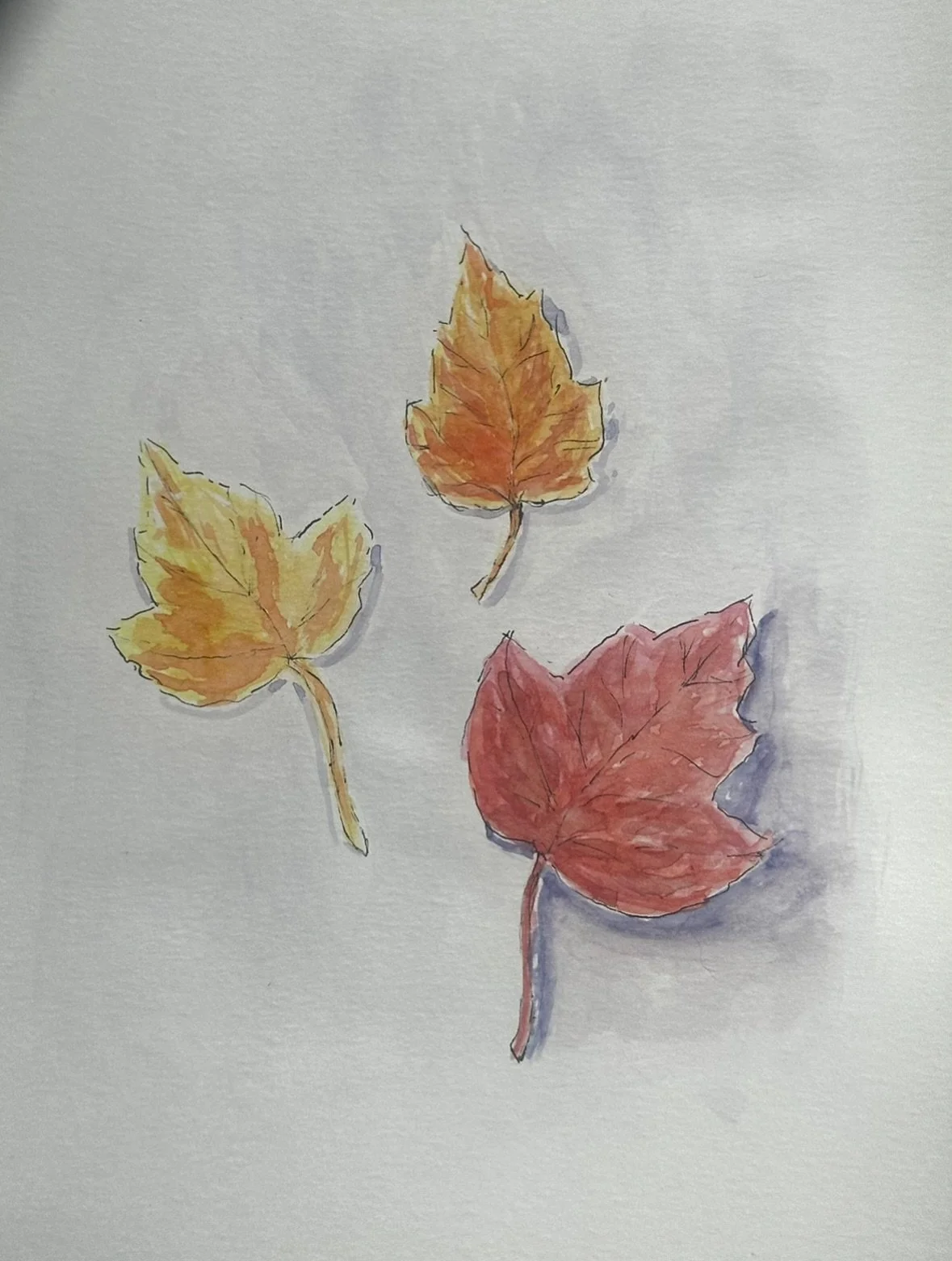 🍁