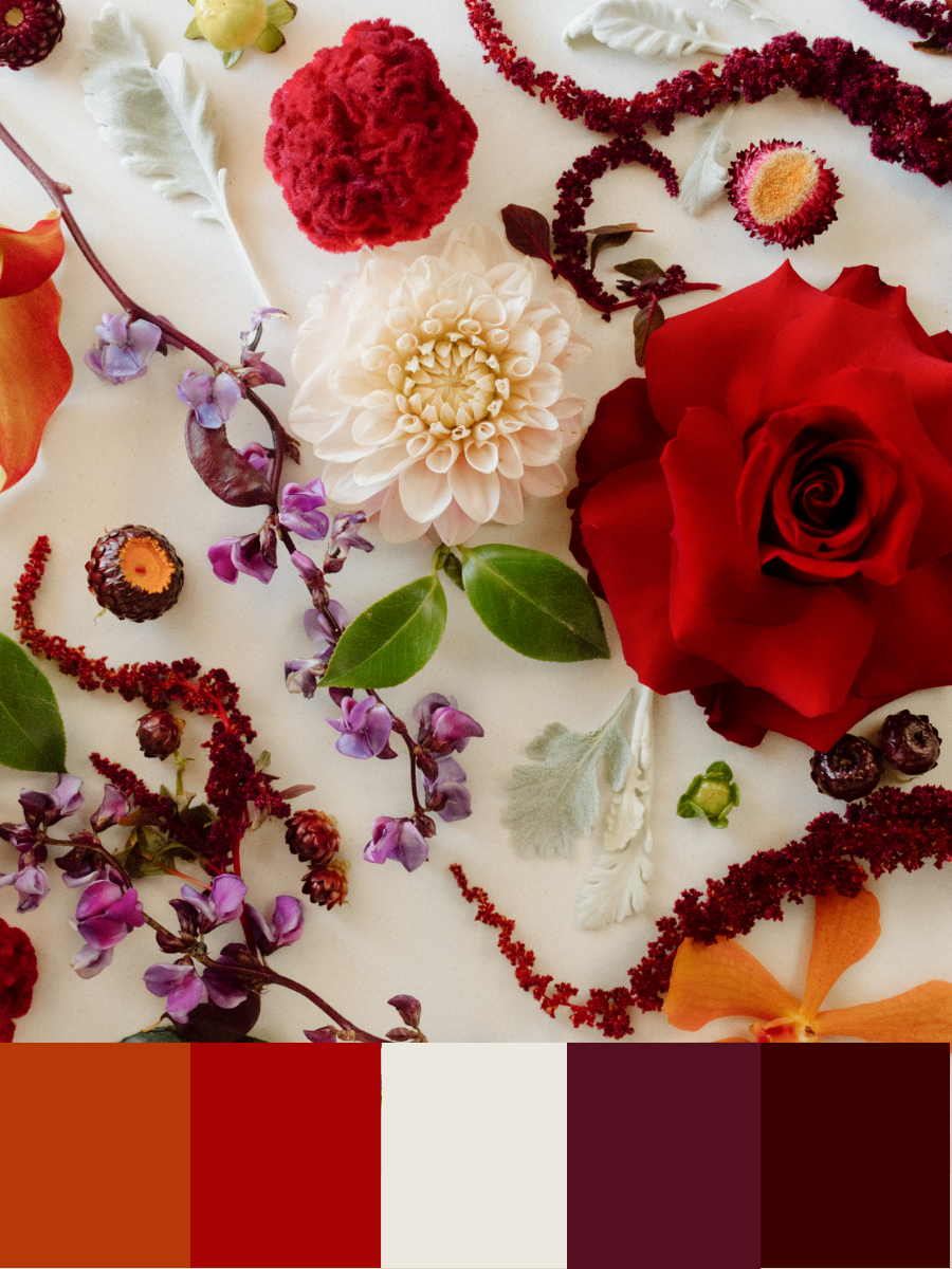Red Color+Pallette+(2).webp