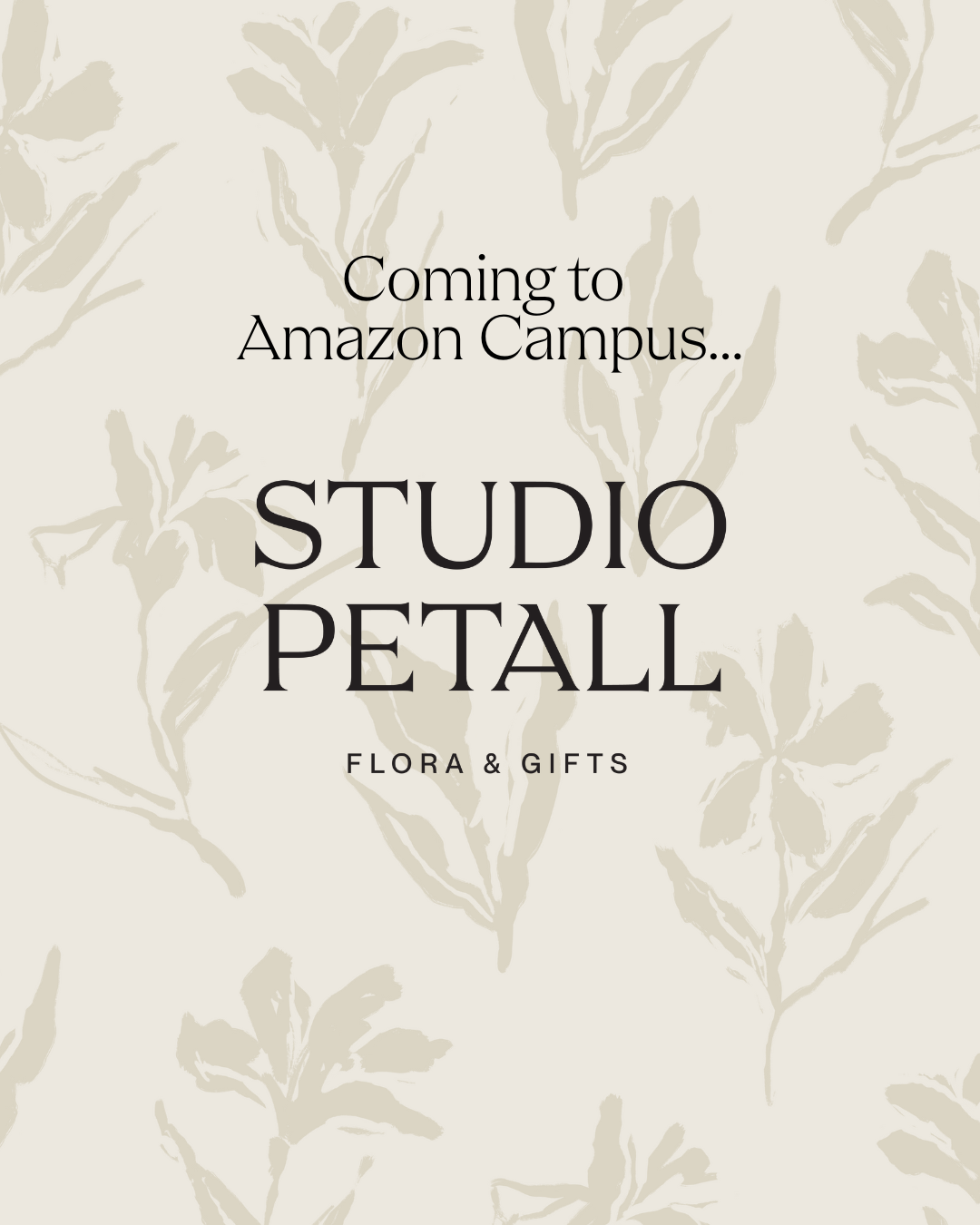Studio Petall Amazon Pop-Up