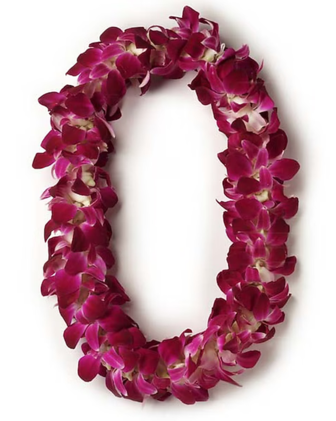 Leis.png