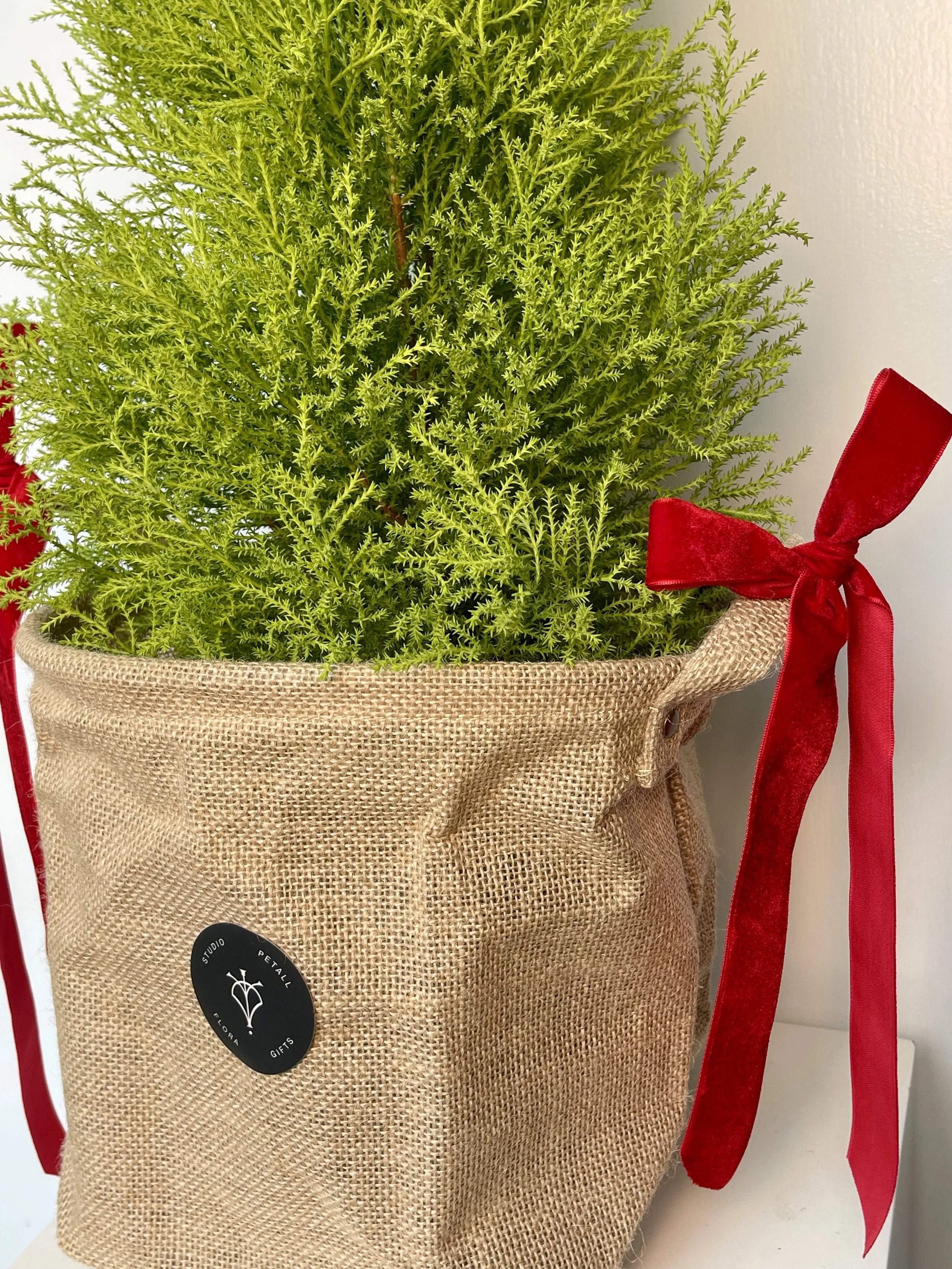 FullSizeRender (1).jpeg