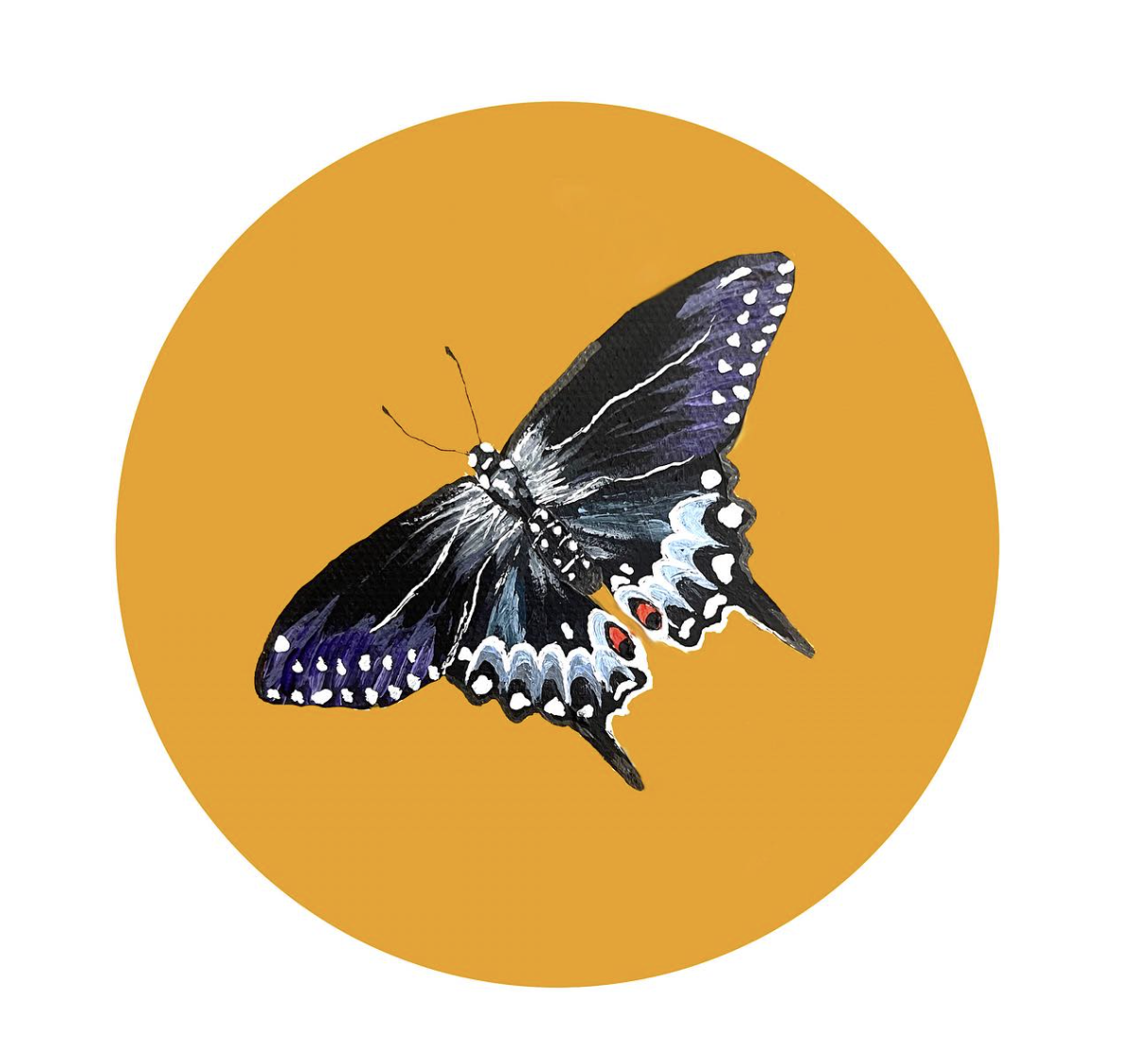 Screenshot 2024-02-01 at 11.03.09 AM.png