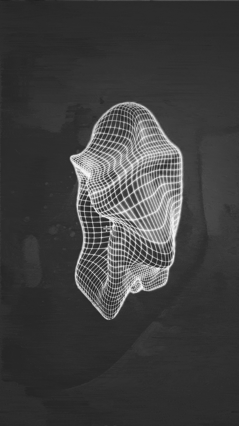 NoseWebsite-ezgif.com-optimize.gif