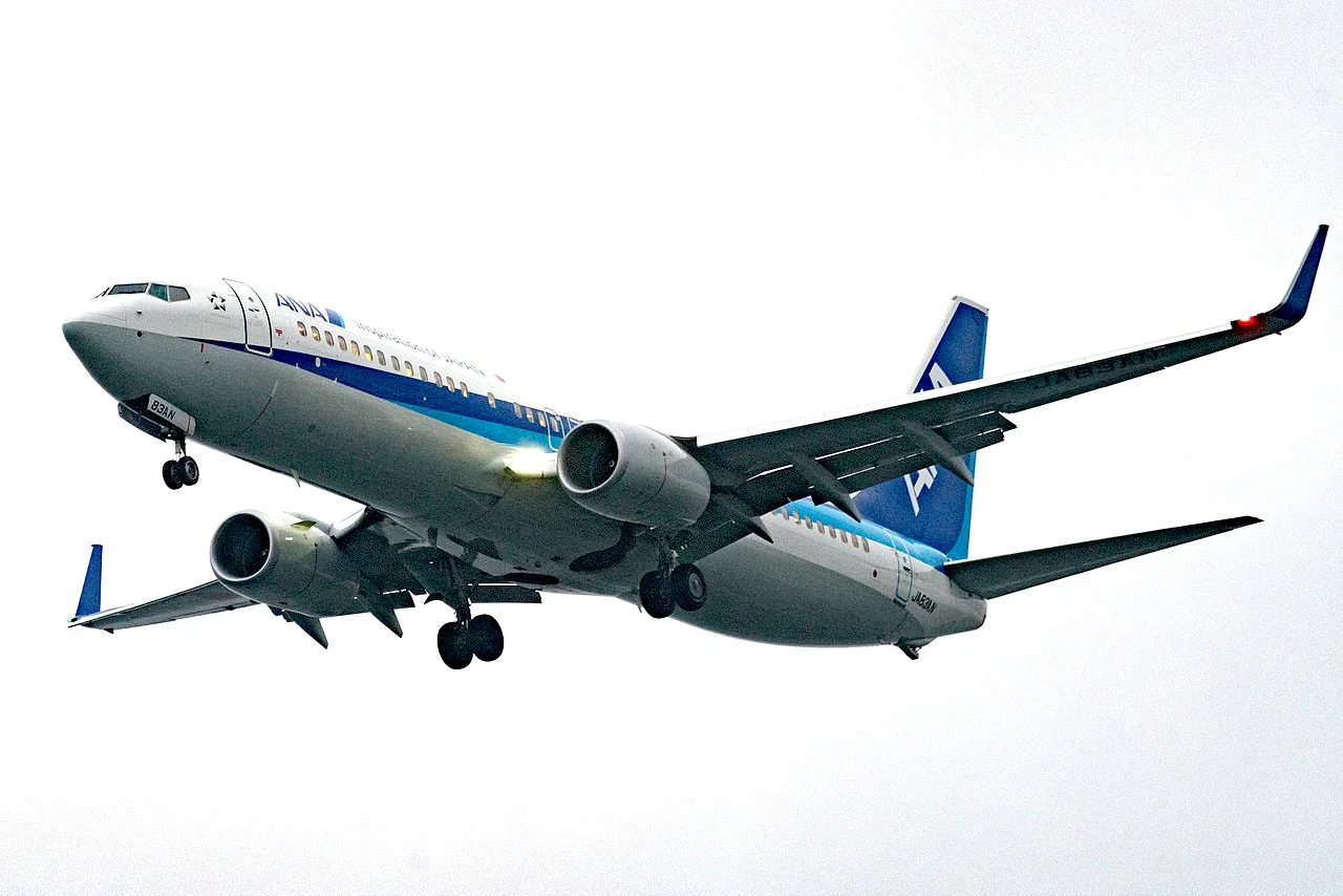 Citizens Against Bigger Planes, CABP, ASE, Pitkin County