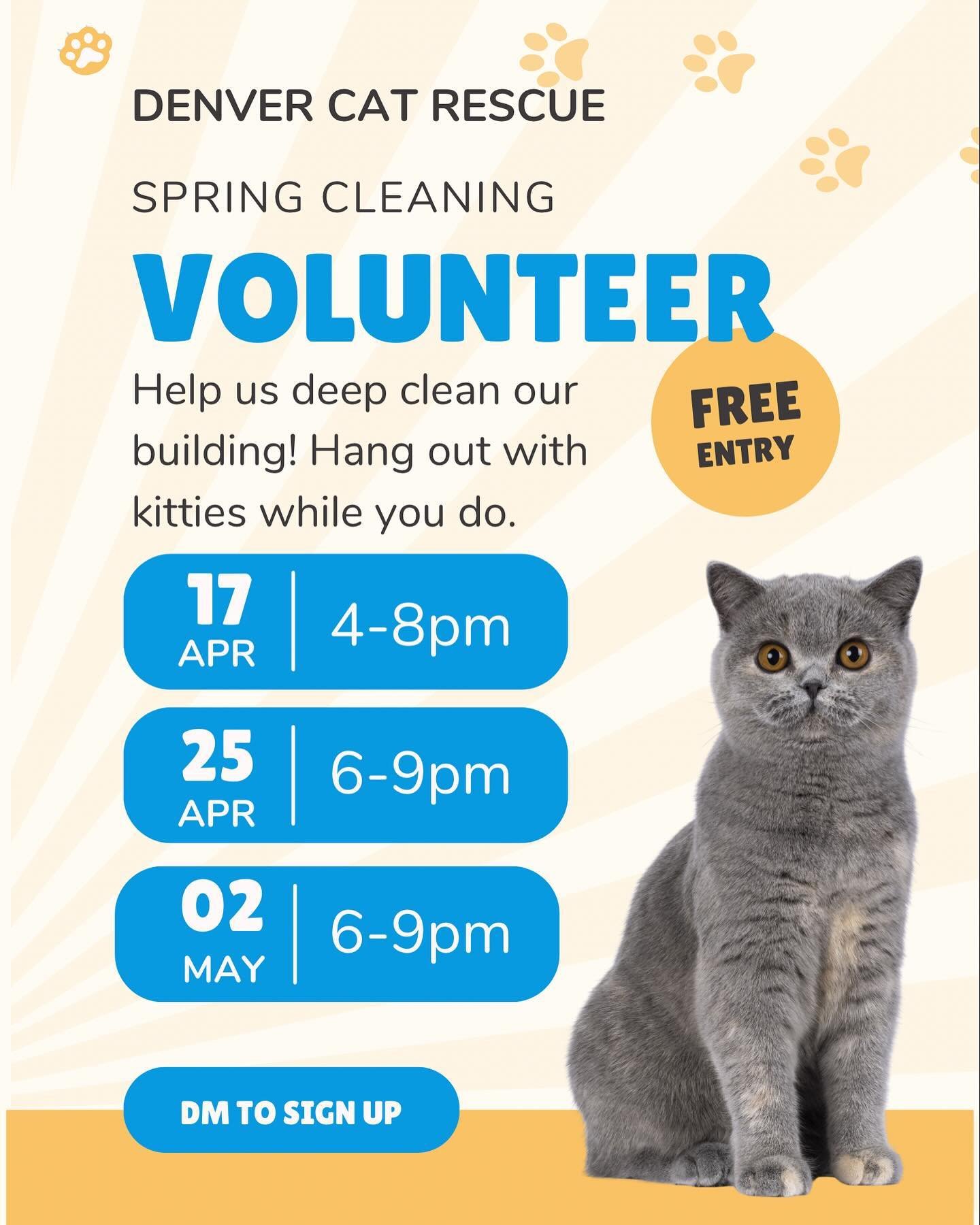 We don&rsquo;t often have opportunities to volunteer with the kitties at @denvercatco and mostly use our volunteers to assist with administrative work. If you have been interested in volunteering in person, now is your chance! DM to sign up 😻

We ar