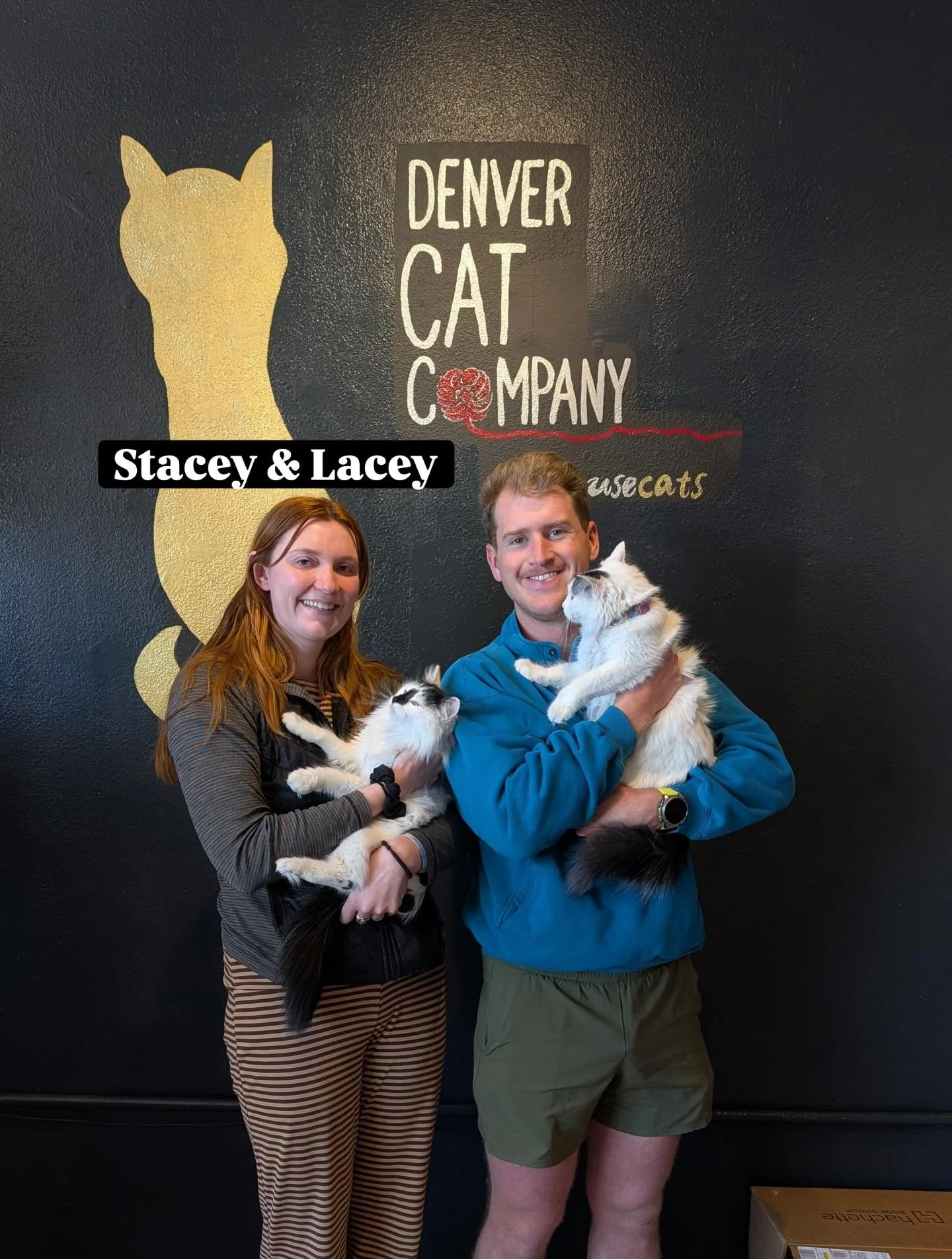 What's better than taking home one cat? Taking home a pair, of course! This week, we helped 9 cats find their fur-ever homes, including 3 pairs ❤️