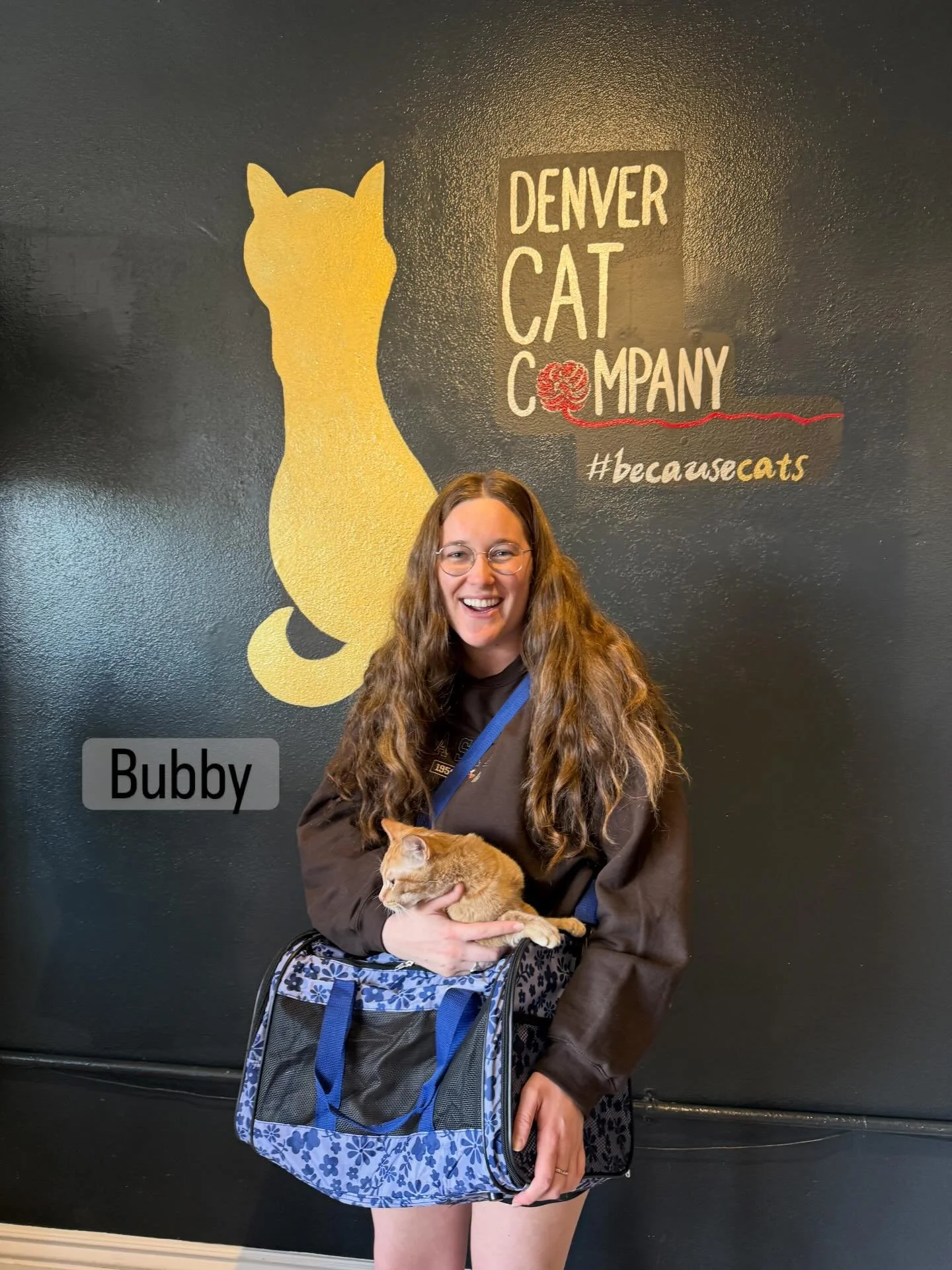 This week, we sent 6 cats to their fur-ever home, including Bubby, Calvin, Julia, Pepper, Two Tone, and Chuck! ❤️🐾