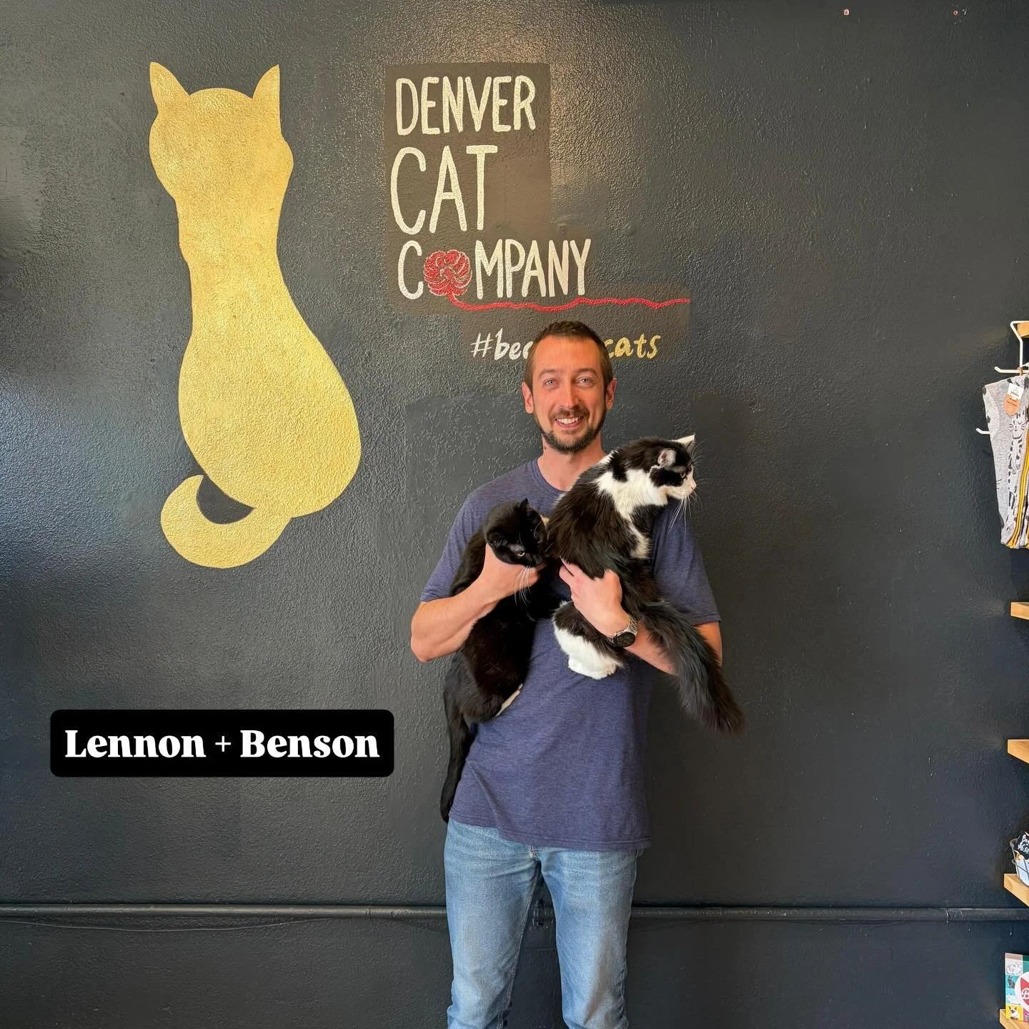 Some of our March alumni! These guys found their purr-fect matches this month ❤️ Come check out our currently adoptable kitties at the cafe.