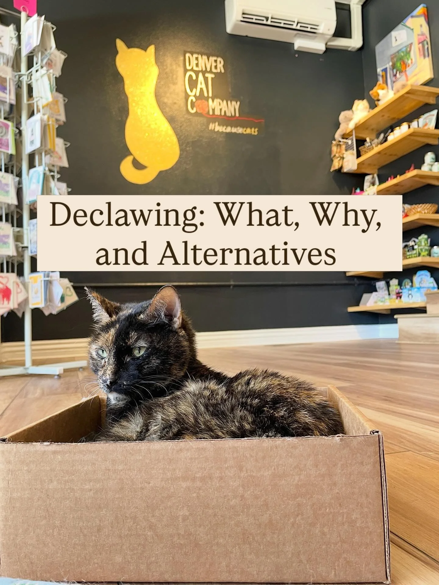 Declawing is still performed across the United States, even when deemed illegal and cruel in other countries across the world. Thankfully in October of 2017, Denver passed a unanimous ban on onychectomy. We joined municipalities in California in bein