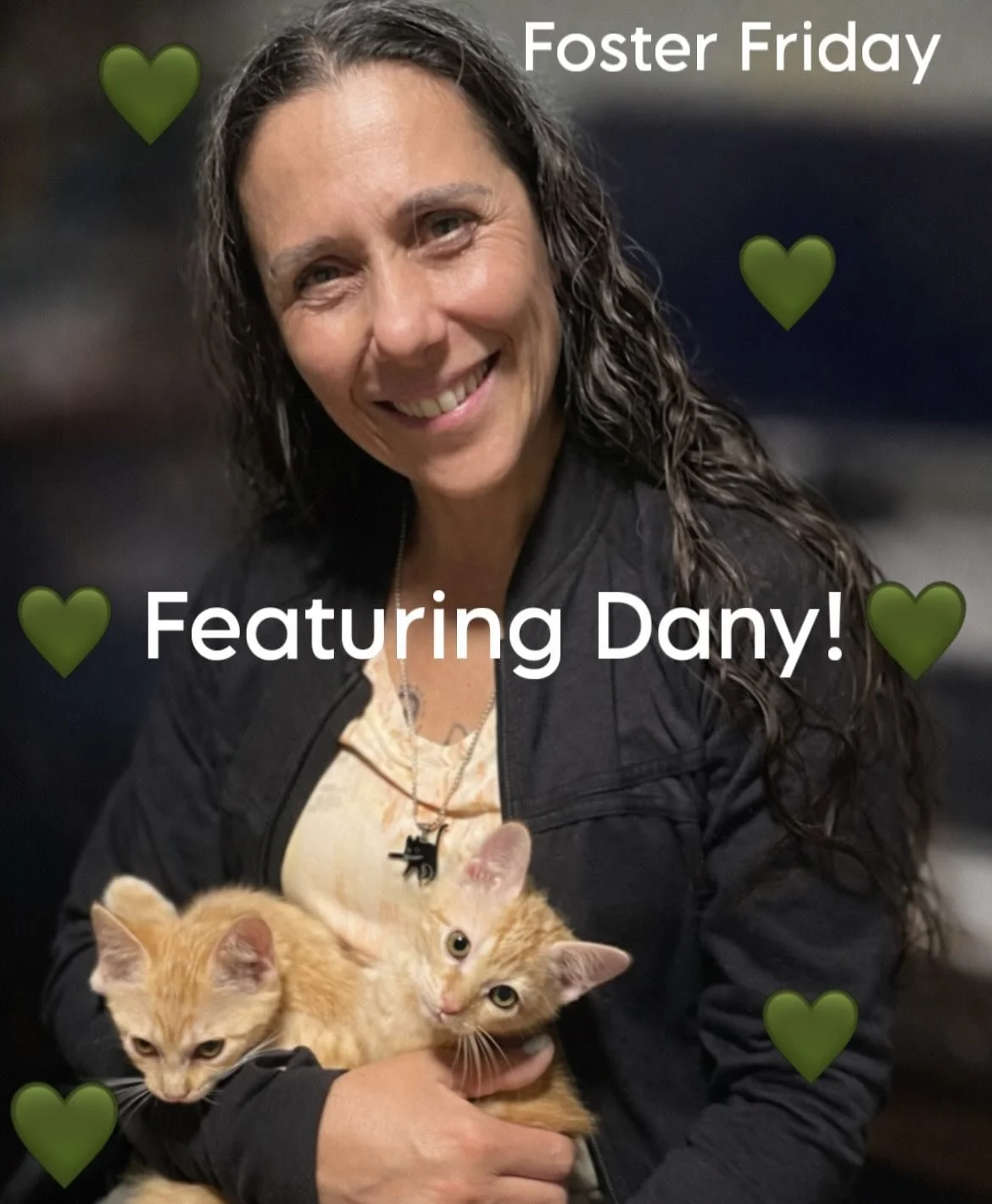 Foster Friday Spotlight🐈&zwj;⬛
Introducing Dany, a foster who has been with DCR for over 4 years! Dany&rsquo;s been a very active foster and has hosted many cats and kittens over the years in her home. She began fostering with DCR to enjoy some kitt