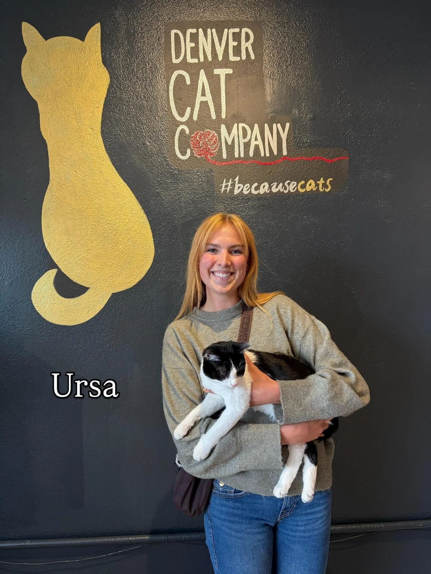 Just a few of the cuties who found their new families and went home this past week! We&rsquo;ll miss having Ursa, Wetzel, Kiwi, and Libby at the cafe and wish them well on their new adventure.❤️ 

To see cats currently available for adoption, please 