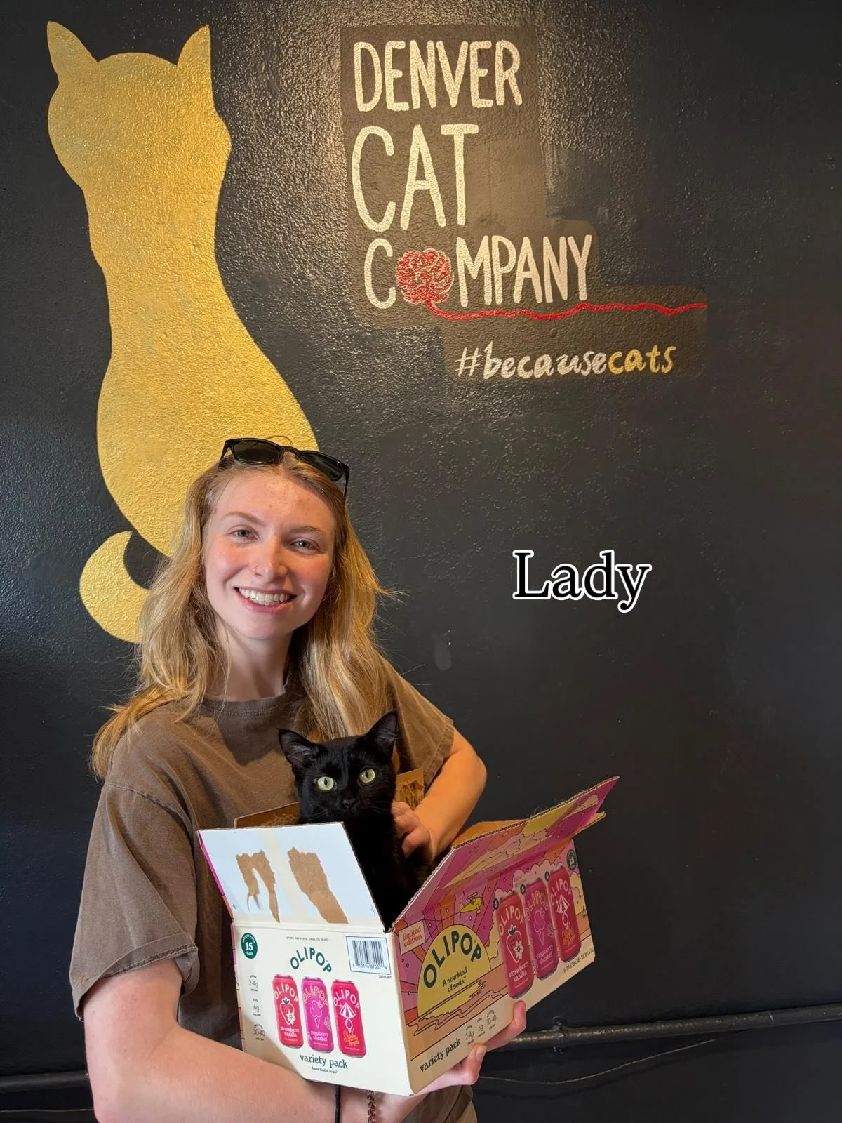 Some of our recent alumni! Lady, Linda Sue, and Inky are just a few of the kitties who have found their fur-ever homes through the cafe 🧡 we have plenty of eligible cats ready to meet you today at @denvercatco