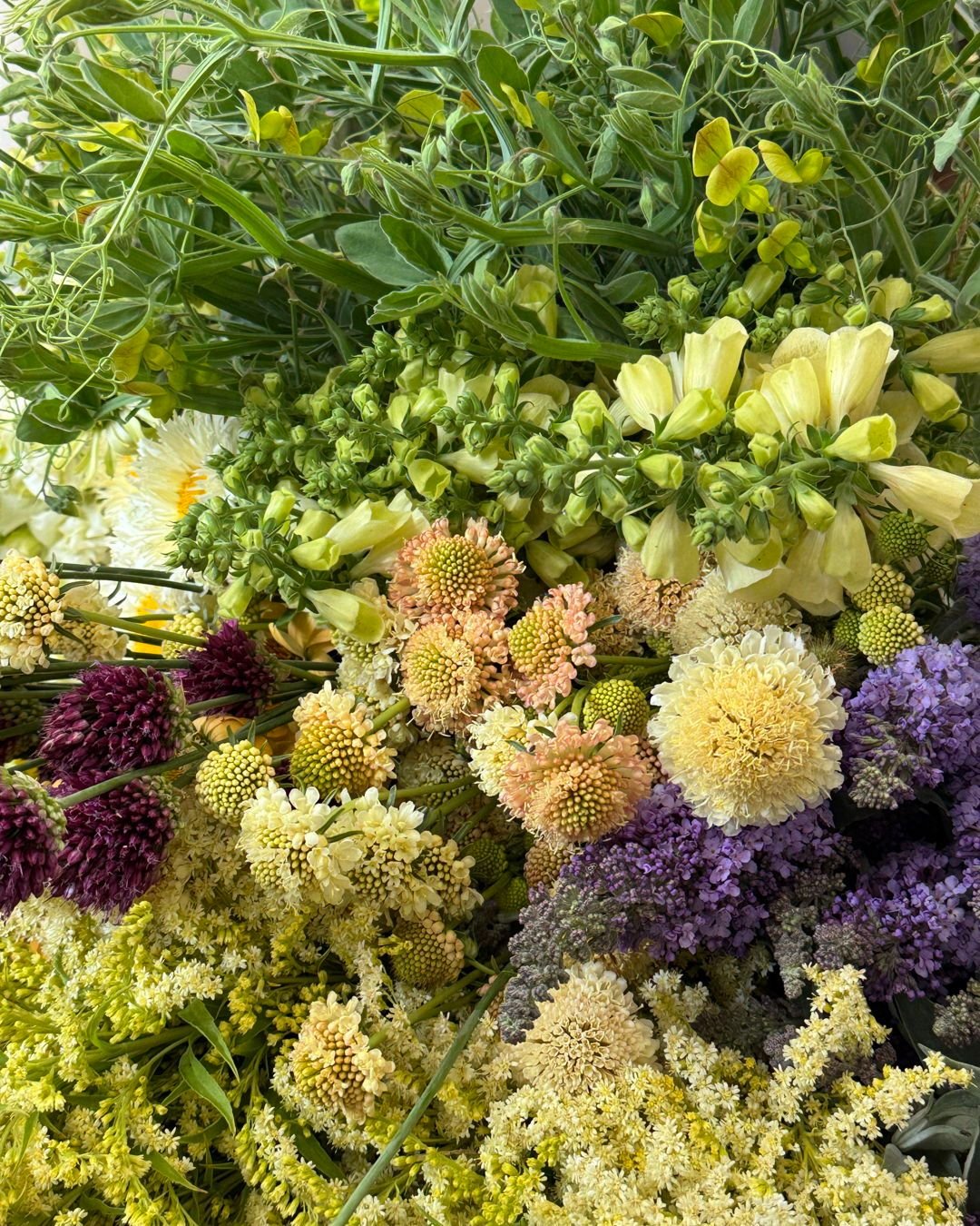 Our palette crush this week is layers upon layers of textural pastels. All for @lebouquetsf &lt;3

Top to Bottom:
LATHYRUS chloranthus - @deweyfarmsflowers 
DIGITALIS hybrida Artic Fox Lemon Cream - @deweyfarmsflowers 
LEUCANTHEMUM x superbum Coconut