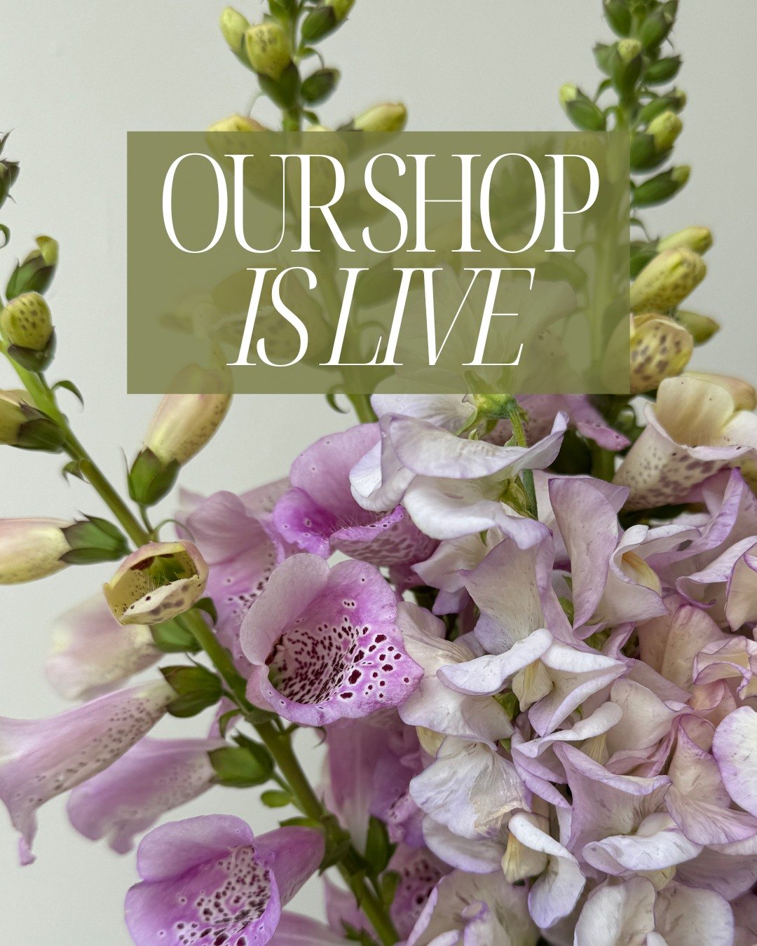 Our shop is live!
Omgeee, summer is here! Our favorite summer focals, Dahlias and Lisianthus, have started. Solidago and Phlox are in abundance. Butterflies like Xeranthemum and Agrostemma are peak perfection. 

We can accommodate very large orders o