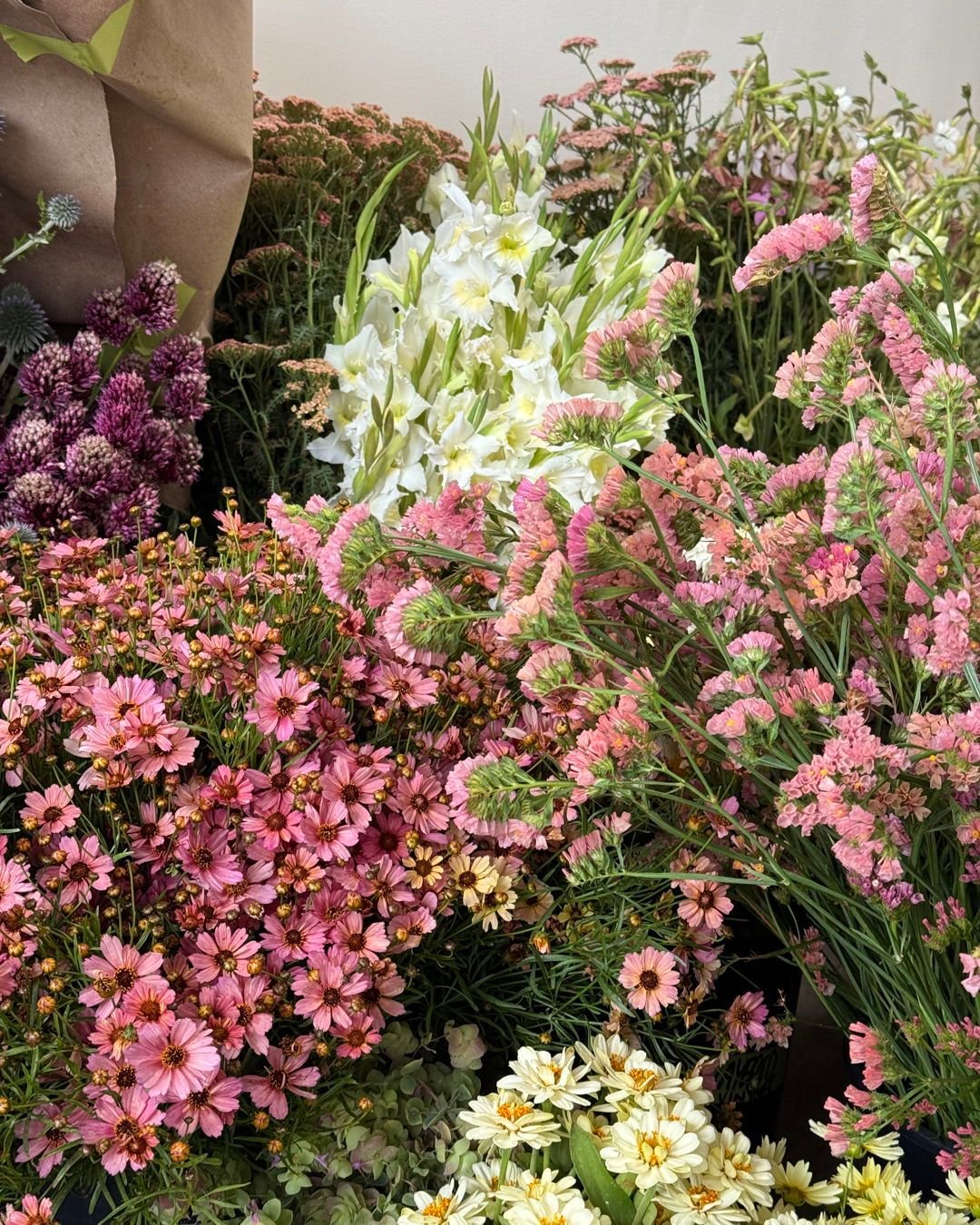 Everything looking top notch and high-key perfeeeeect. A beautiful palette for @layeredvintage. &lt;3 

ACHILLEA millefolium Tutti Frutti Apricot Delight - @deweyfarmsflowers 
ACHILLEA millefolium Salmon Beauty - @pucksgarden 
ECHINOPS ritro - @dewey