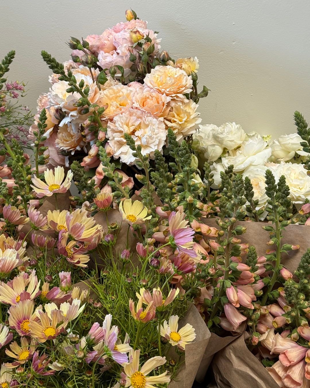 The prettiest palette in peaches and butter yellows for @fignvine 

COSMOS bipinnatus Apricot Lemonade - @starsightfarm 
DIGITALIS purpurea Dalmatian Peach - @starsightfarm 
ROSA hybrida Bolero - @vofloraldesign 
ROSA hybrida Princess Charlene de Mon