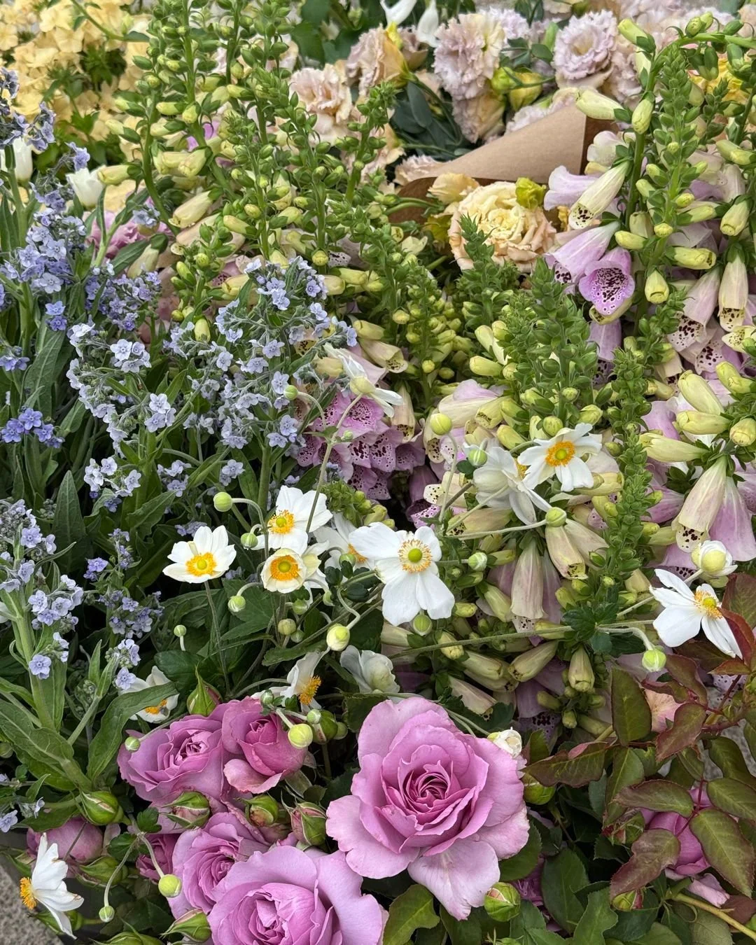 Sparkling blues, creams, crystal whites, mauves and lavender tones for @mflora.design

CYNOGLOSSUM amabile Marilyn - @mockingbirdflora 
ANEMONE x Honorine Jobert - @mockingbirdflora 
PHLOX drummondii Isabellina - @starsightfarm 
CERATOTHECA triloba A