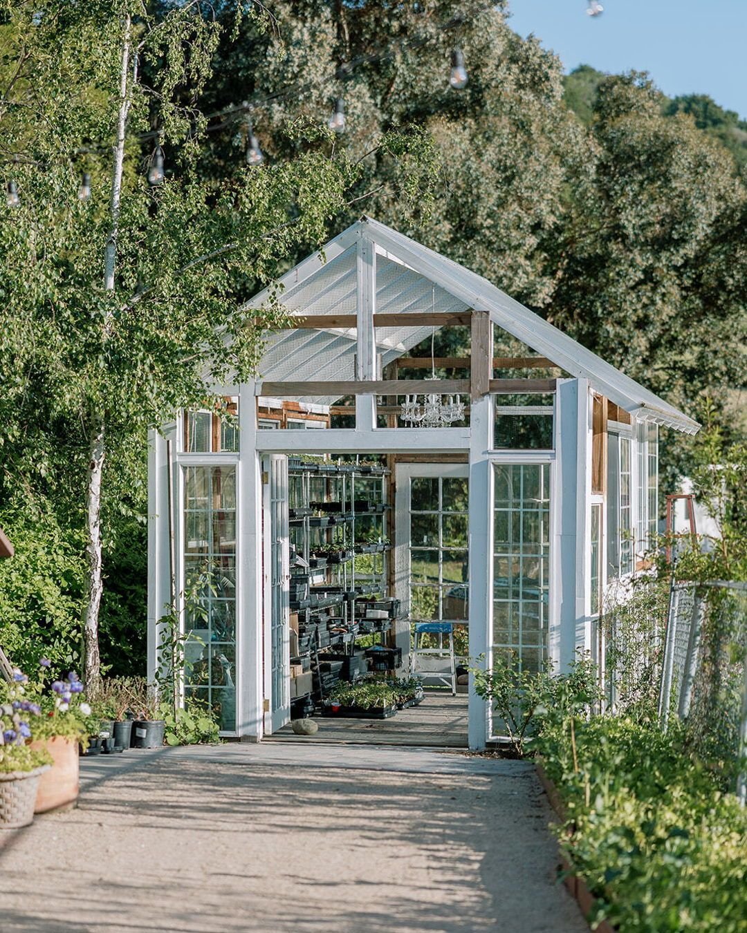As we slow down harvest for the season, our sights turn to the greenhouse and preparations for next spring. Here&rsquo;s a little behind-the-scenes look at what a few of our farms are working on. 

Greenhouse at @vofloraldesign
Greenhouse at @borrowe