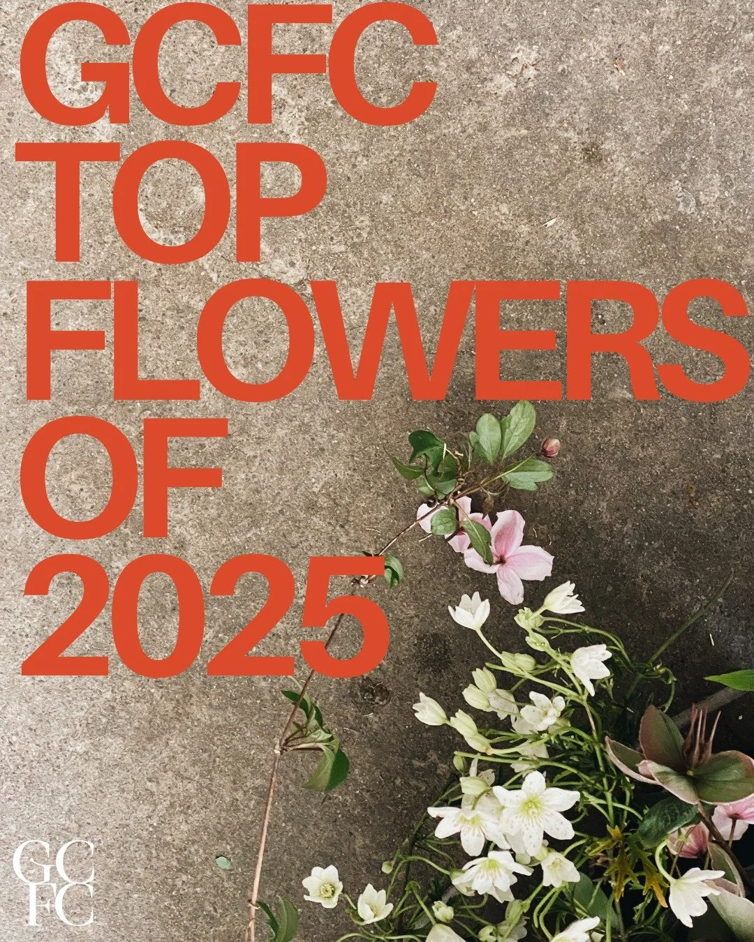 As we wrap up the year and our growing season, we wanted to share the top 10 flowers you loved most in 2025. With a mix of the classics,  new favorites, and seasonal gems, these flowers defined your designs and shaped our harvests.