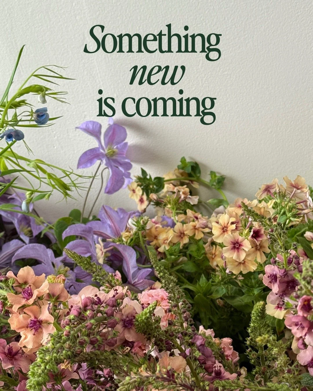 Mark your calendars for February 23rd, we have some news to share!