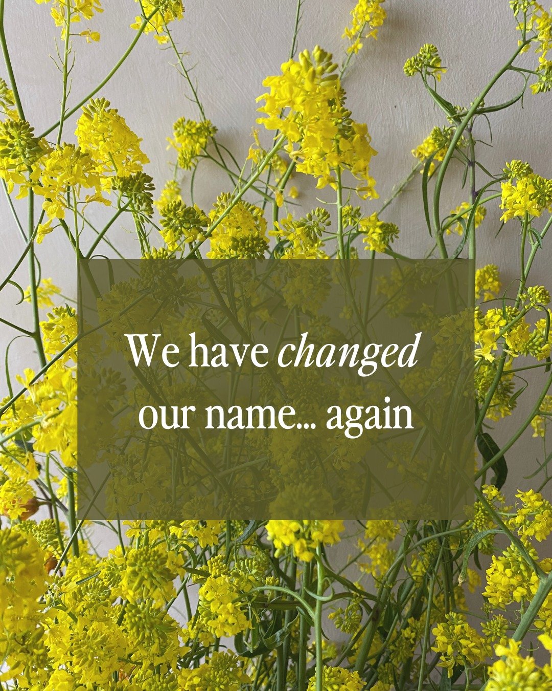 Third time's the charm? 

We've officially changed our name (again). Say hello to California Bay Flower Collective!

GC Flower Collective was an important chapter for us, but it was always meant to be a stepping stone. We wanted a name that equally r