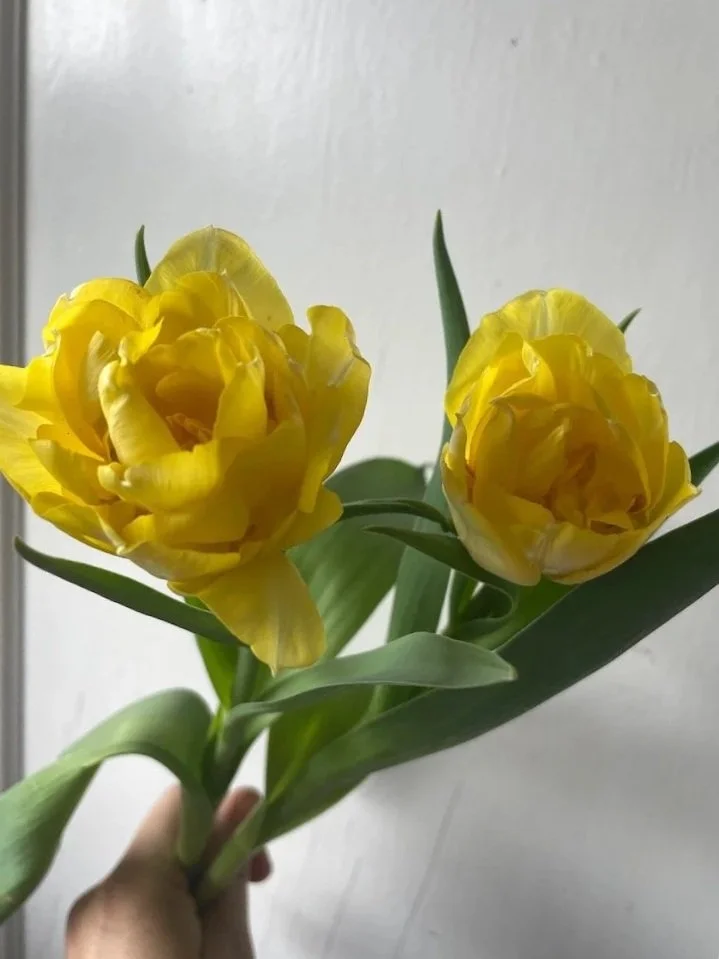 TULIPA Secret Perfume