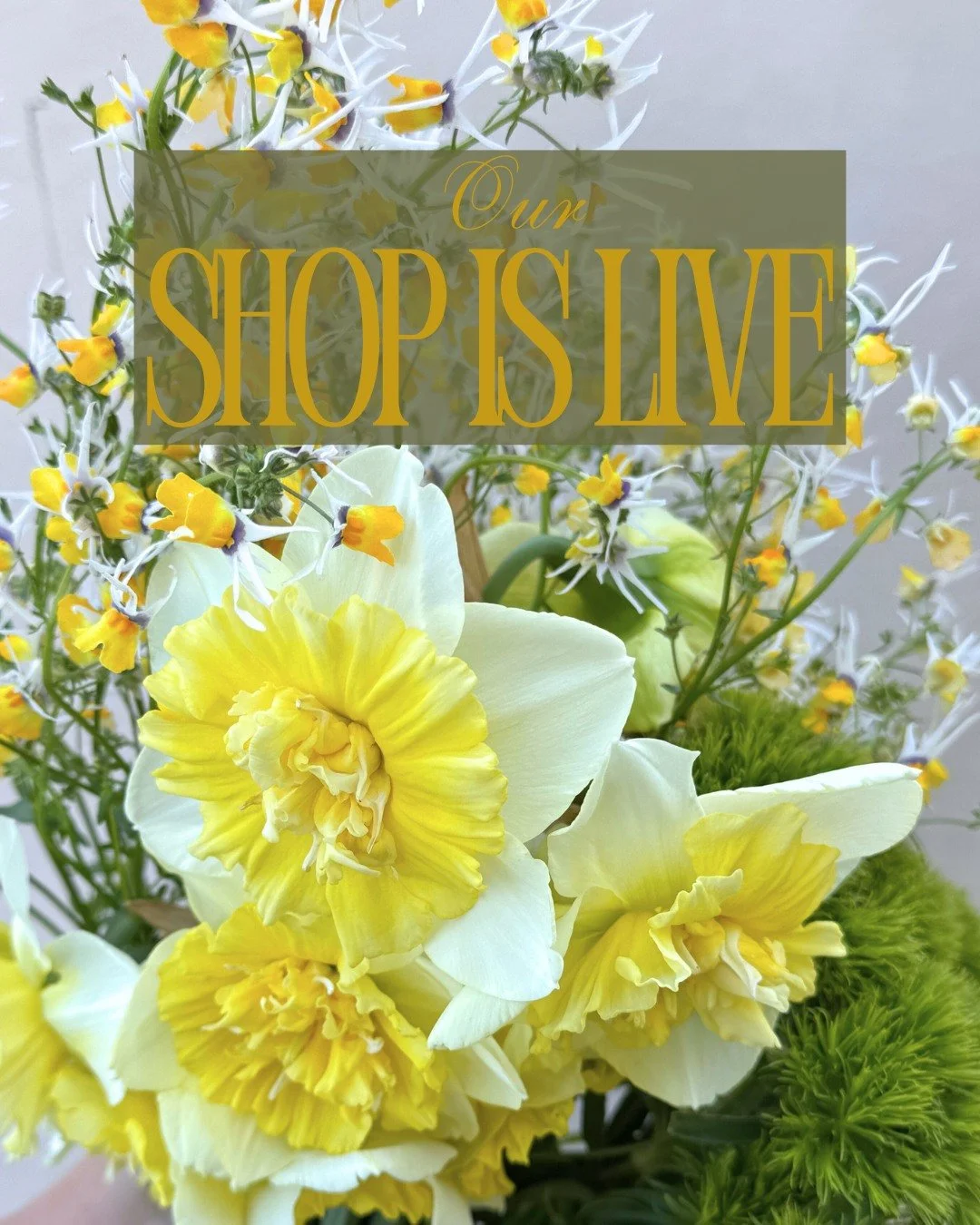 Our shop is live!
We will be offering Wednesday deliveries, Wednesday pickup in Berkeley and Thursday pickup at farms next week! 

Here is what we have in abundance:
ARUM hygrophilum - @alcott_botanicals 
RANUNCULUS Tecolote Salmon - @mockingbirdflor