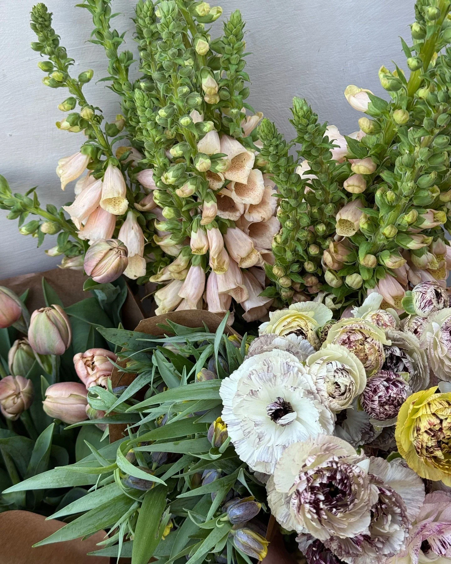 Our palette crush this week is this moody spring ensemble for @suncanyonflorals. With peachy Digitalis, silvery-pink La Belle Epoque Tulips, Ranunculus and Fritillaria's in rich deep plums. We are so excited that spring flowers are here!

DIGITALIS p
