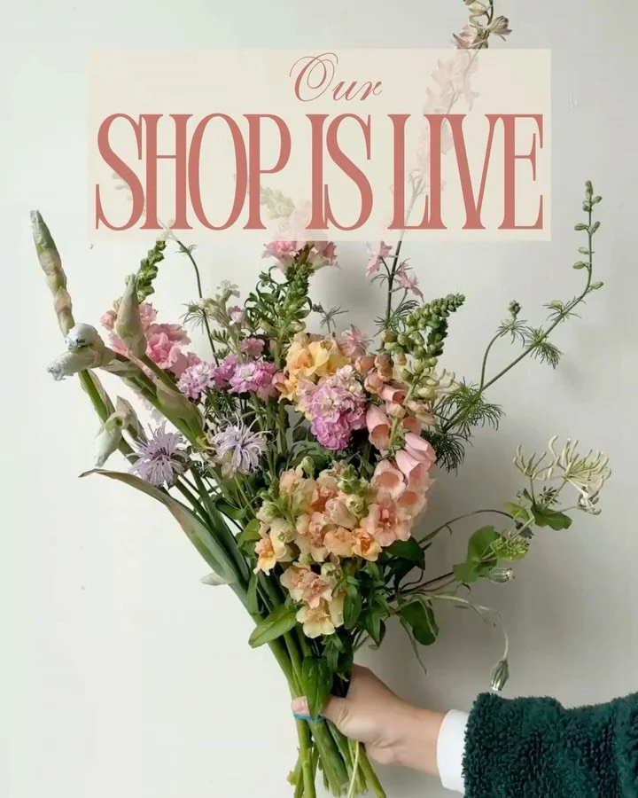 Our shop is live!
Heads up that we will not have deliveries or pickups Monday 4/6- Tuesday 4/7! 
Here is what we have in abundance this week!

ERUCA vesicaria ssp. sativa (Arugula) - @alcott_botanicals 
PRUNUS dulcis (Green Almond) - @deweyfarmsflowe