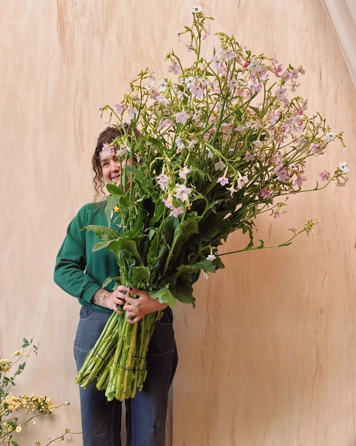 Nicotiana season is here.
Katie of @deweyfarmsflowers holding an armful of Nicotiana &lsquo;Bella&rsquo;, an airy, textural and fragrant staple we look forward to all year.