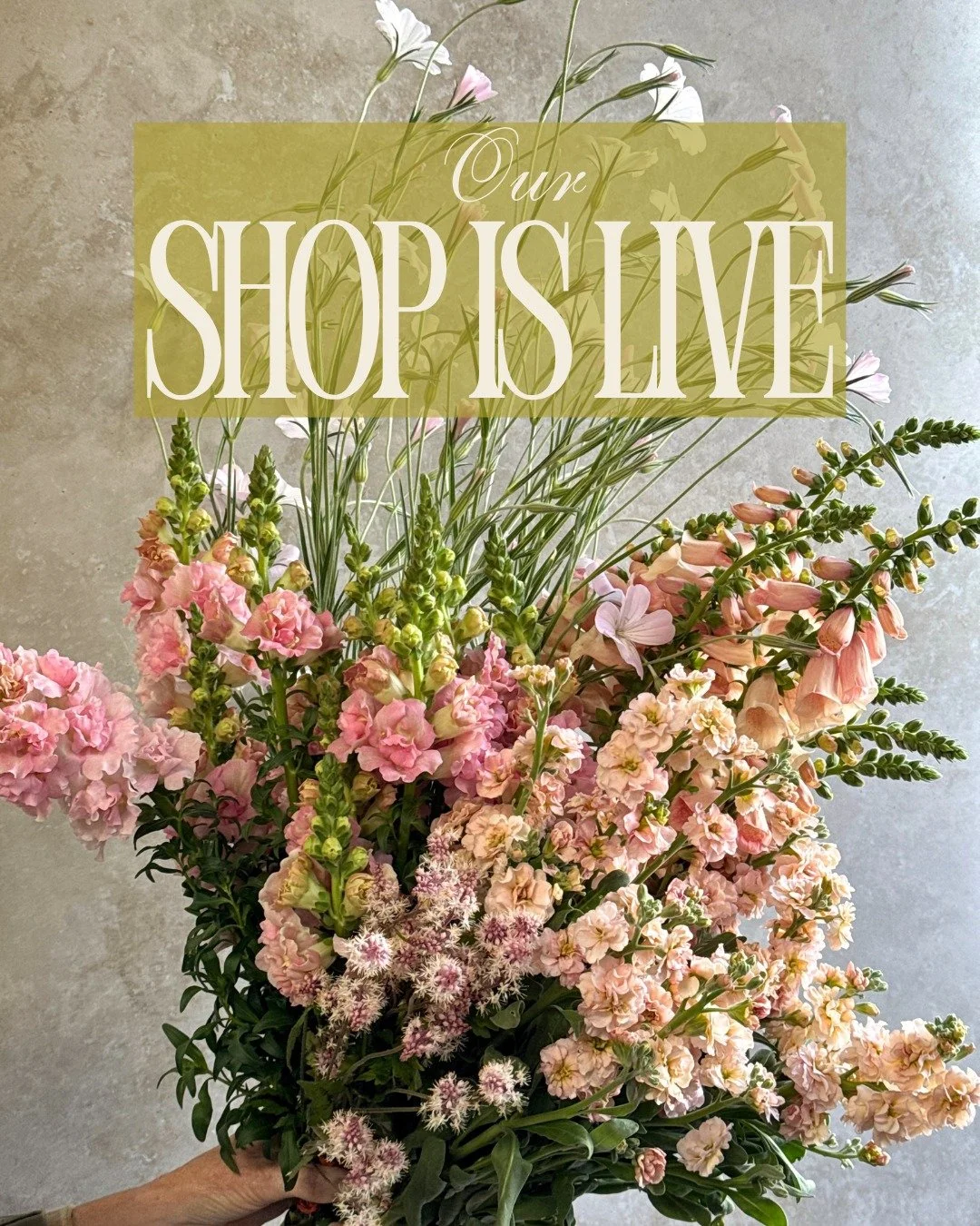 Our shop is live! We are waving hello &amp; goodbye to lots of crops this week as we greet an earlier-than-usual shoulder season.  Silene, loads of Agrostemma, Alliums and Digitalis are in abundance this week while we say goodbye to the last of Arum 