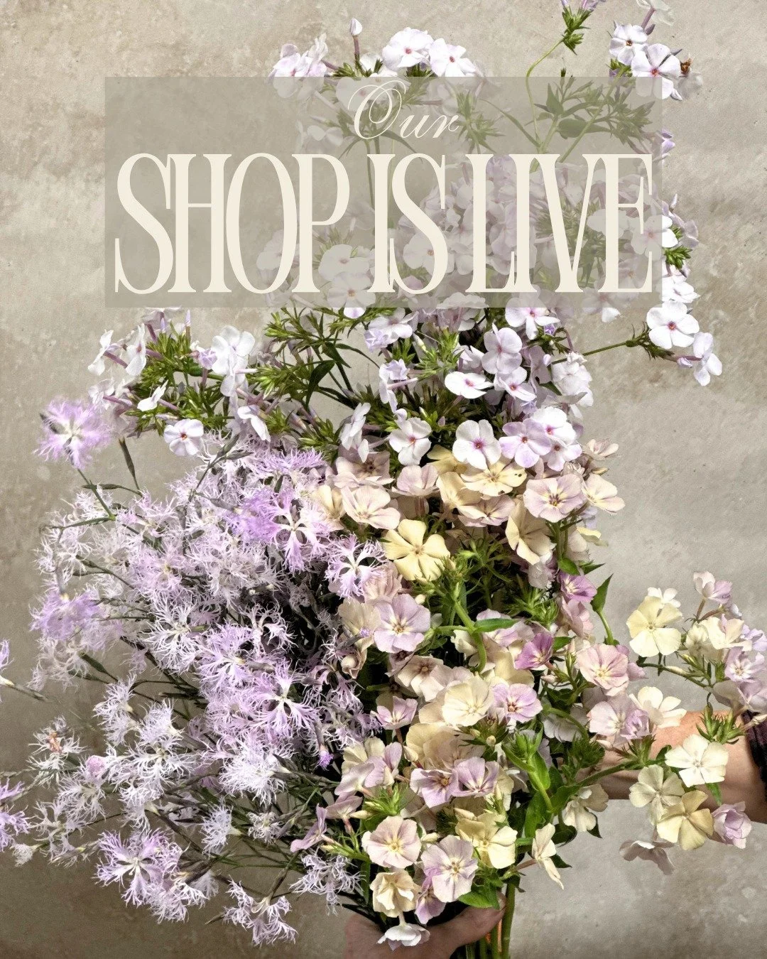 Our shop is live! Summer crops are trickling in, and everything is looking absolutely gorgeous. A quick note:  Puck's Garden and Mockingbird are out next week, so no pick up is available at their farms. We will miss them!

Here is what we are loving 