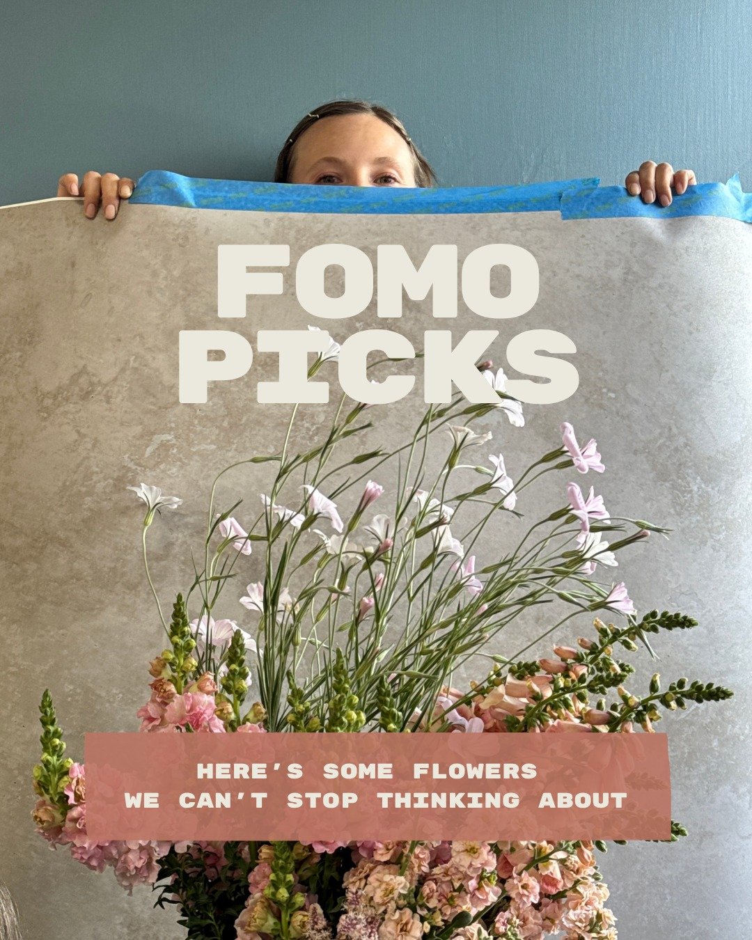 Want to know what flowers we can't get over this week?

LILIUM longiflorum x asiatic - @alcott_botanicals 
We love talking about new flowers that are just starting in our fields, with as many descriptors as we can possibly cram into one sentence. Tam