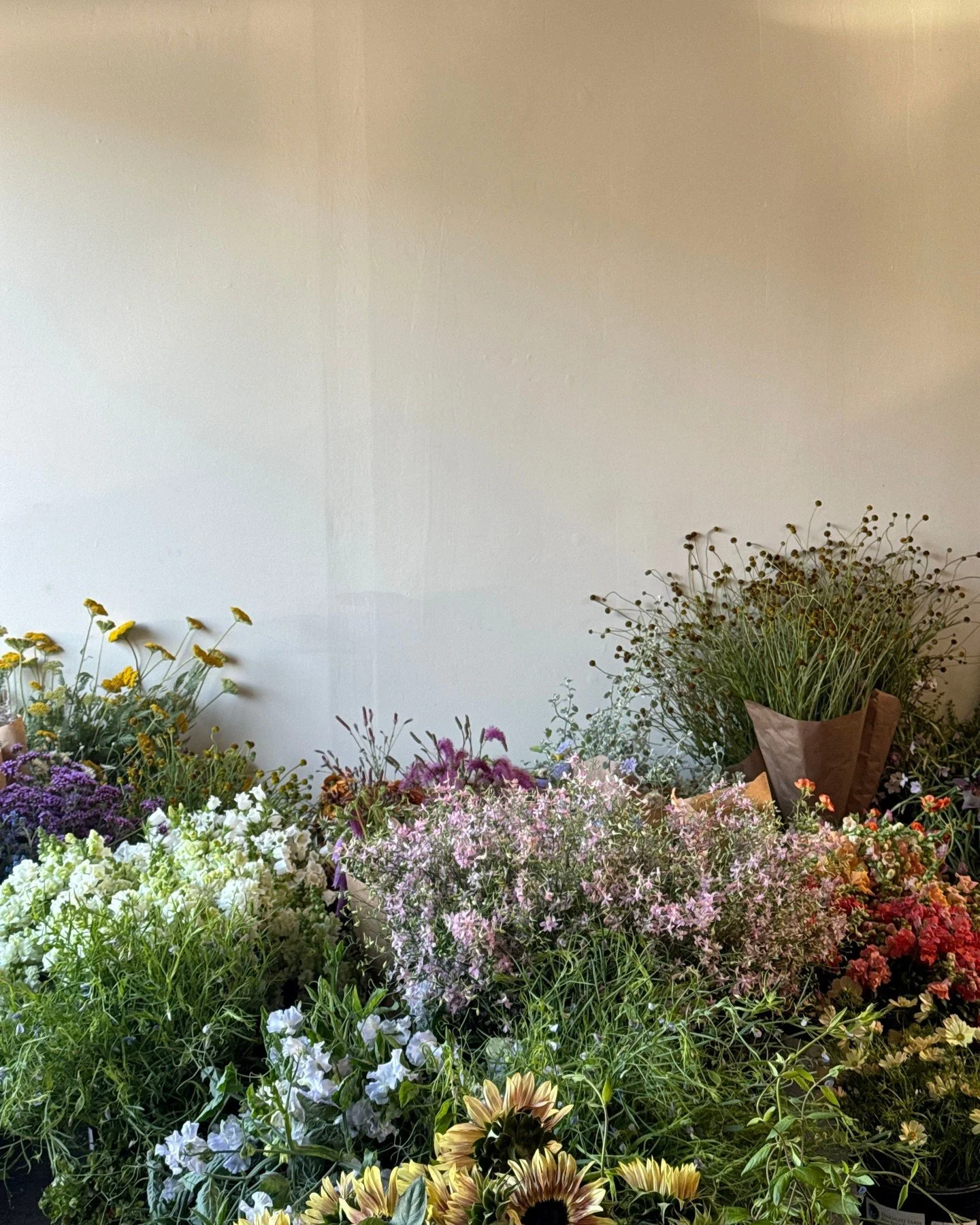 Summer flowers are rolling in, and every week is more beautiful than the last.