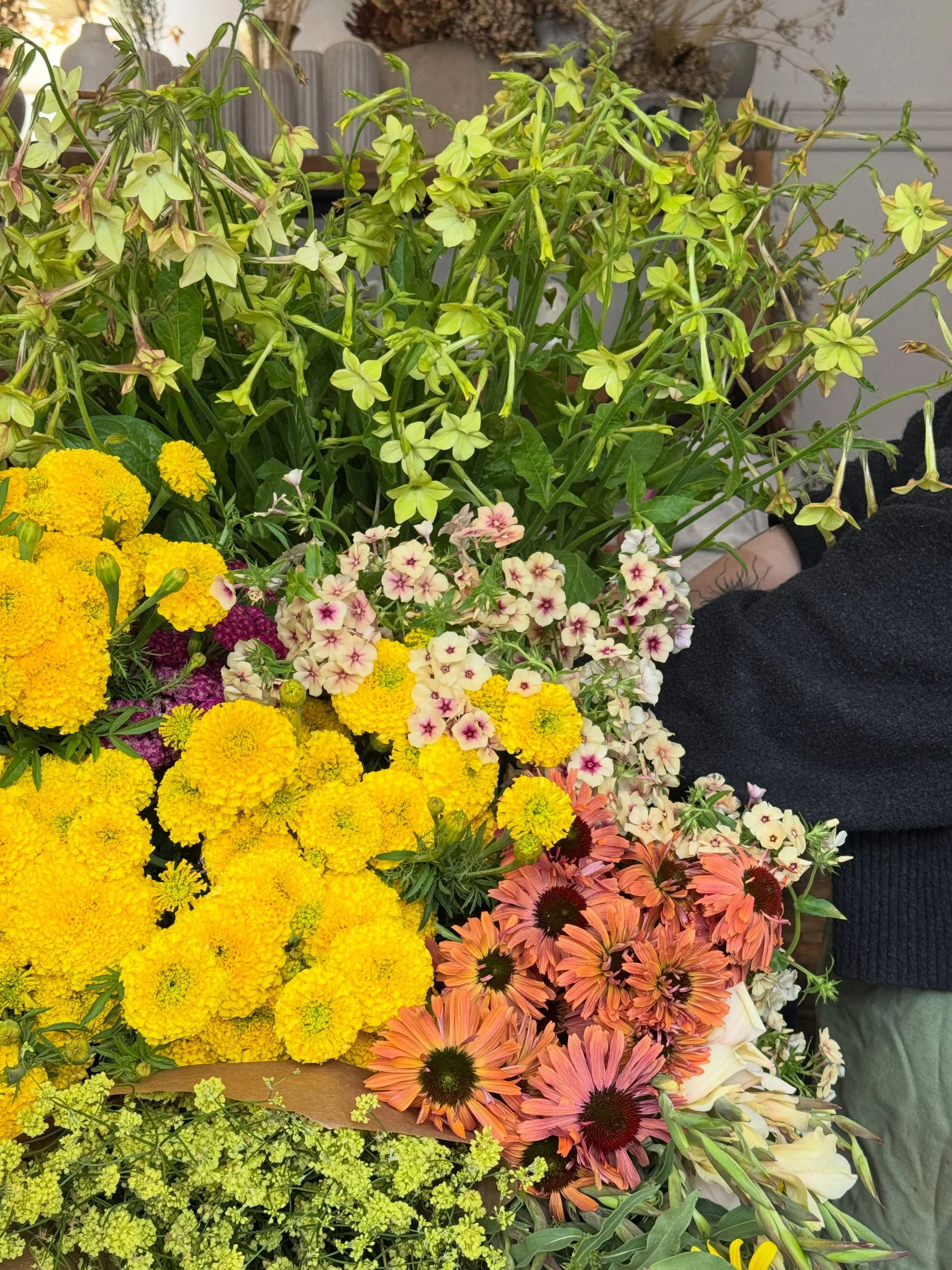 A little love letter to our flower shops.  Thank you so much for supporting us every week, we love cutting for you and seeing your faces!

Here we are at @lebouquetsf with a truly gorgeous order!