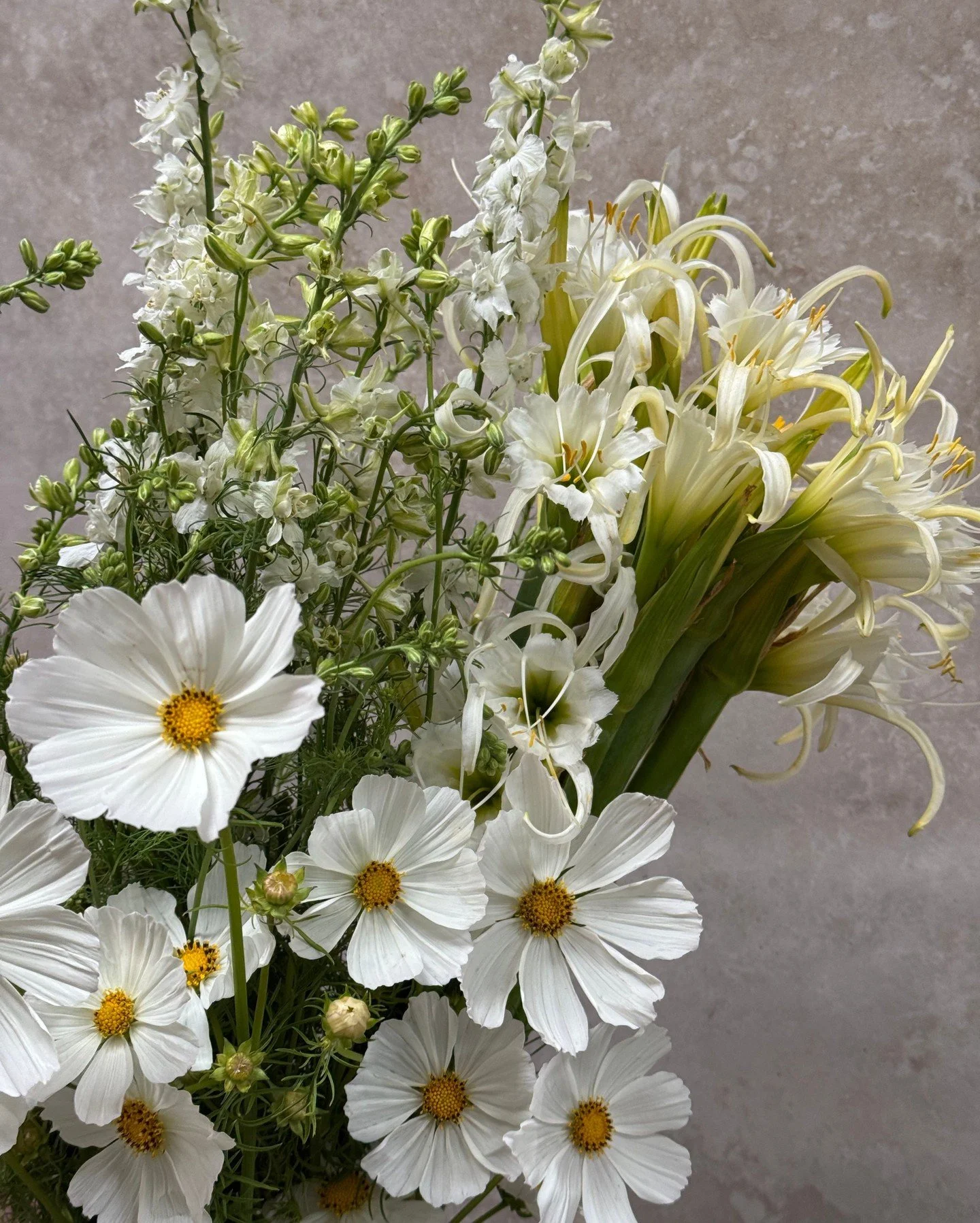 Summer solstice marks the longest day and shortest night of the year, a vital point in the agricultural calendar, representing the bridge between spring planting and peak harvest. Our fields are green, pollinators are busy, and the farms are alive wi